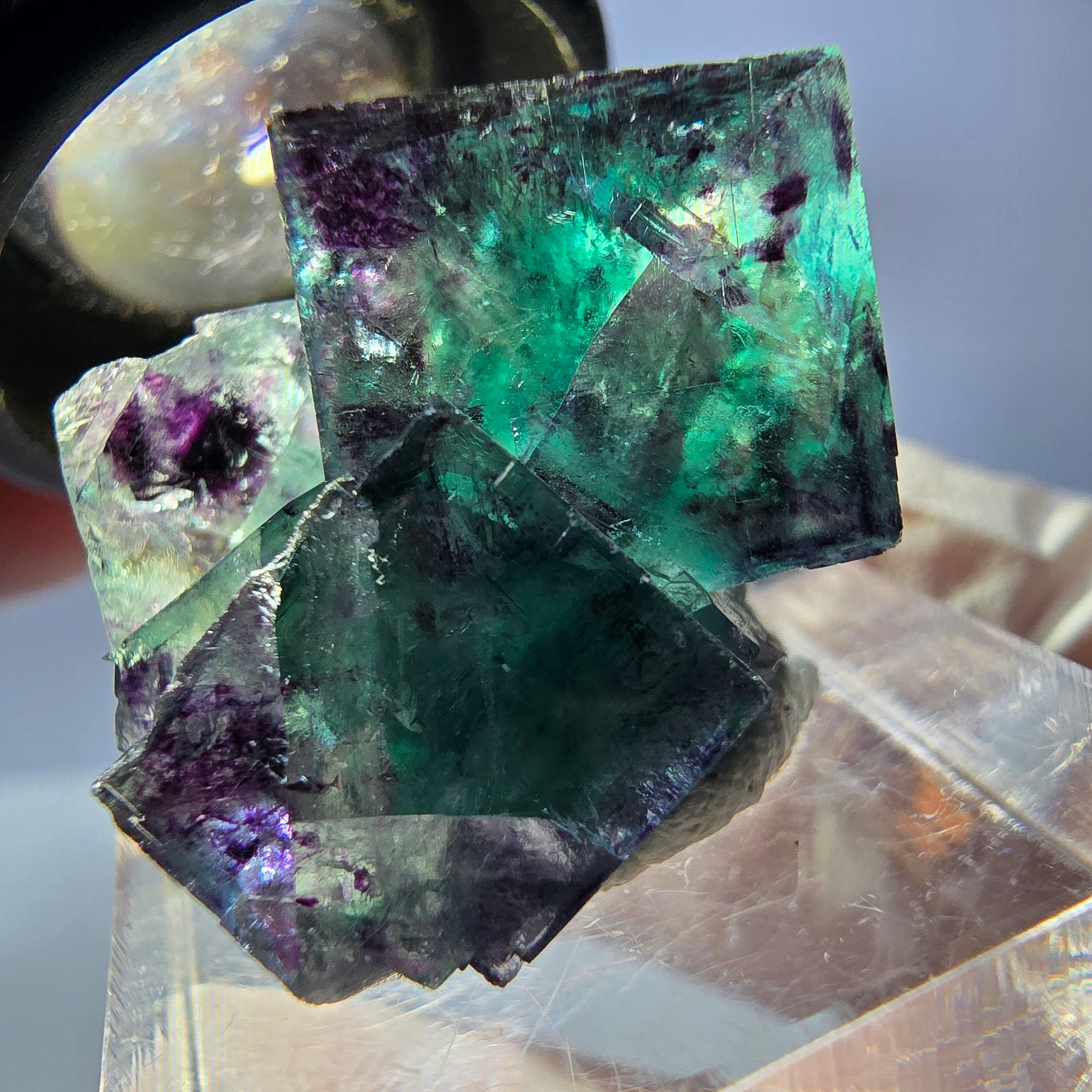 Spécimen de cube de fluorite fantôme, parqueté vert violet Okorusu, Namibie 31*25*20 mm