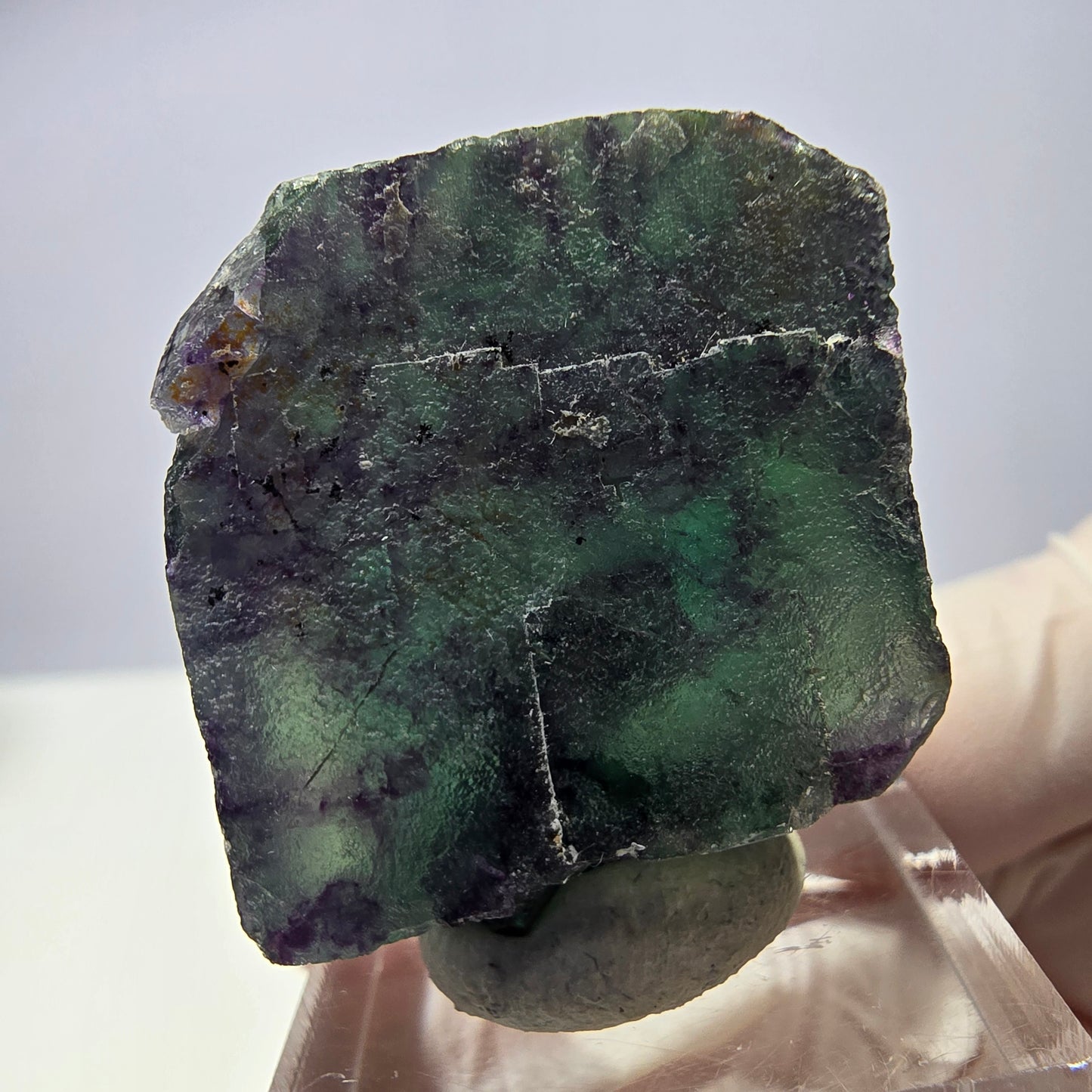 Rare cube de fluorite fantôme parqueté vert violet Okorusu Namibie 31*27*17mm