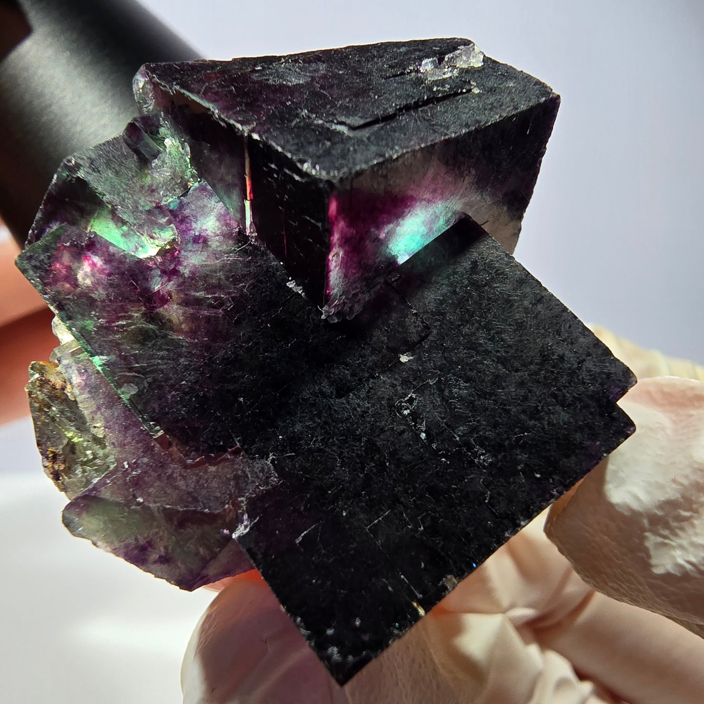 Spécimen de cube de fluorite fantôme, parqueté vert violet Okorusu, Namibie 40*35*29 mm