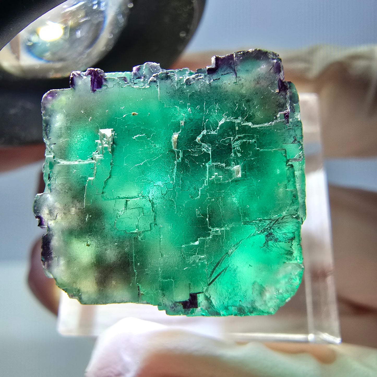 Phantom Fluorit Würfel Stufe, parkettiert grün lila Okorusu, Namibia 20*19*18mm