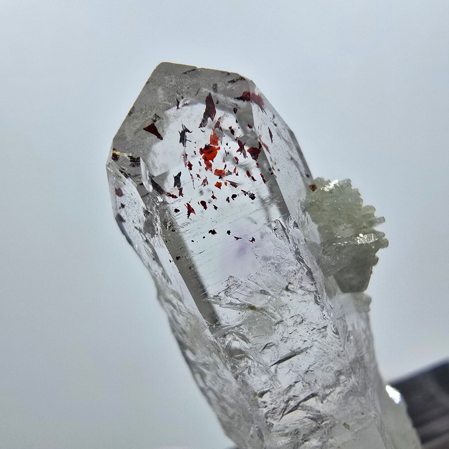 Quartz Harlequin avec préhnite Point Streep Mine, Goboboseb, Namibie 31 x 12 x 9 mm