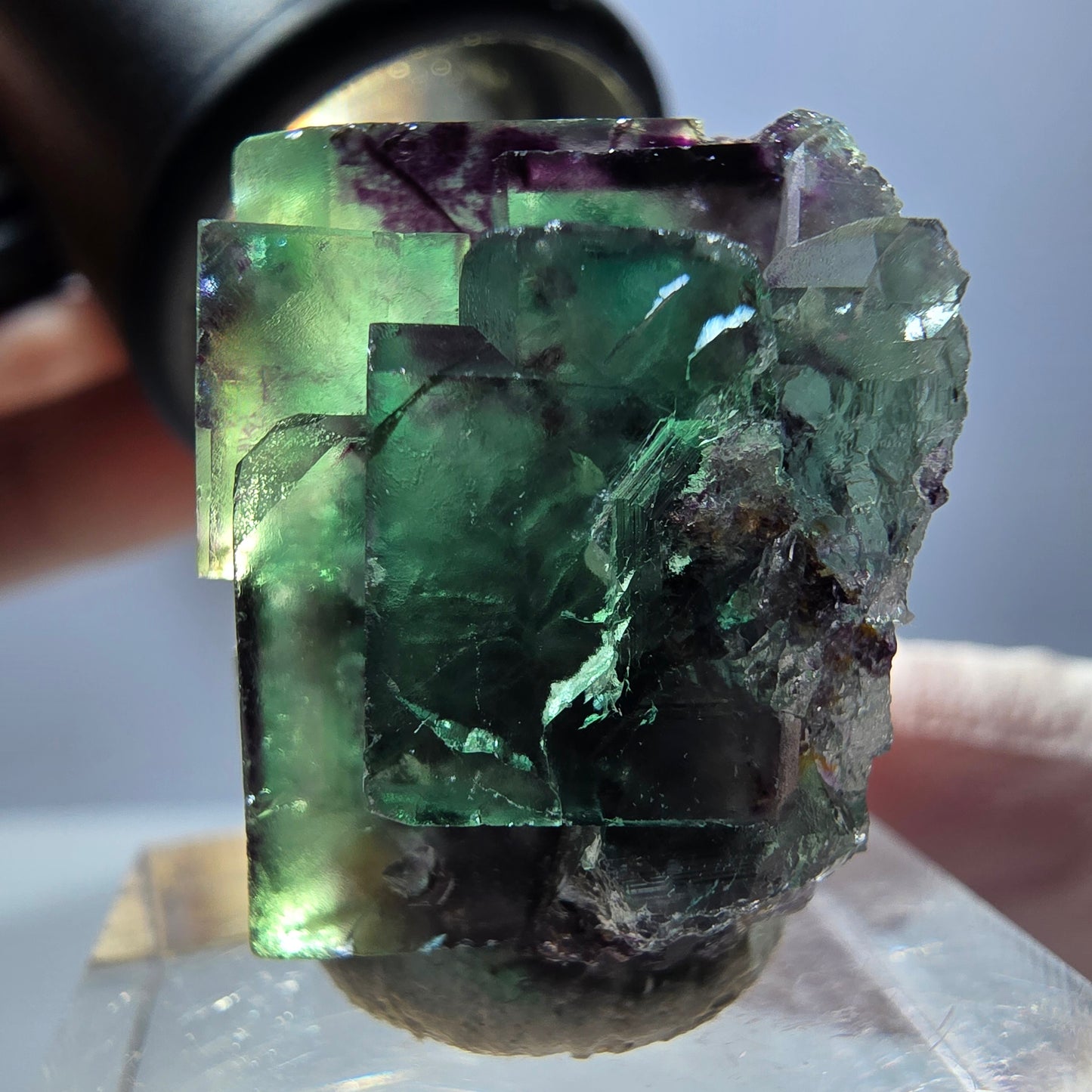 Spécimen de cube de fluorite fantôme, parqueté vert violet Okorusu, Namibie 26*25*16 mm