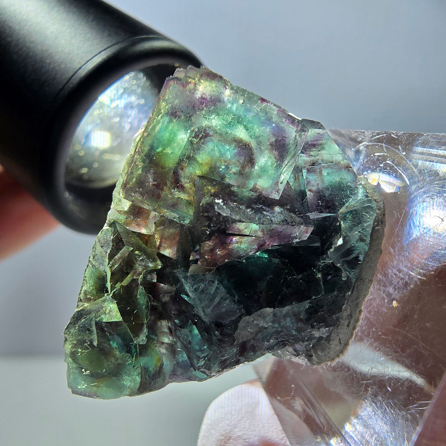 Spécimen de cube de fluorite fantôme, parqueté vert violet Okorusu, Namibie 29*21*12 mm