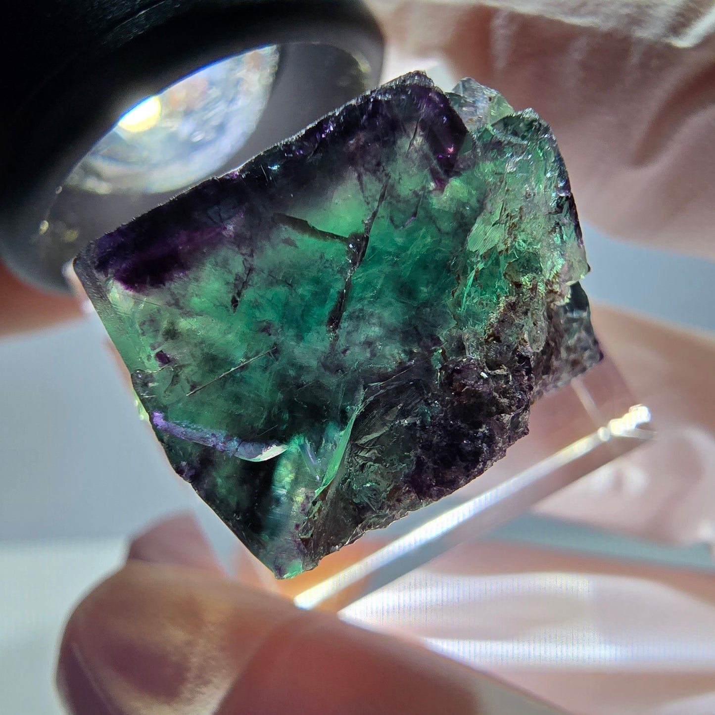 Spécimen de cube de fluorite fantôme, parqueté vert violet Okorusu, Namibie 22*22*18 mm
