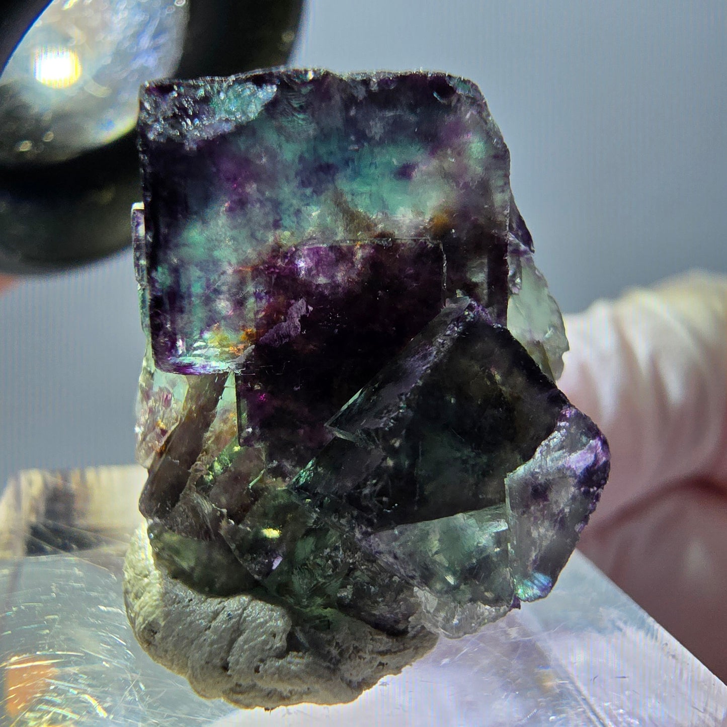 Spécimen de cube de fluorite fantôme, parqueté vert violet Okorusu, Namibie 25*19*15 mm