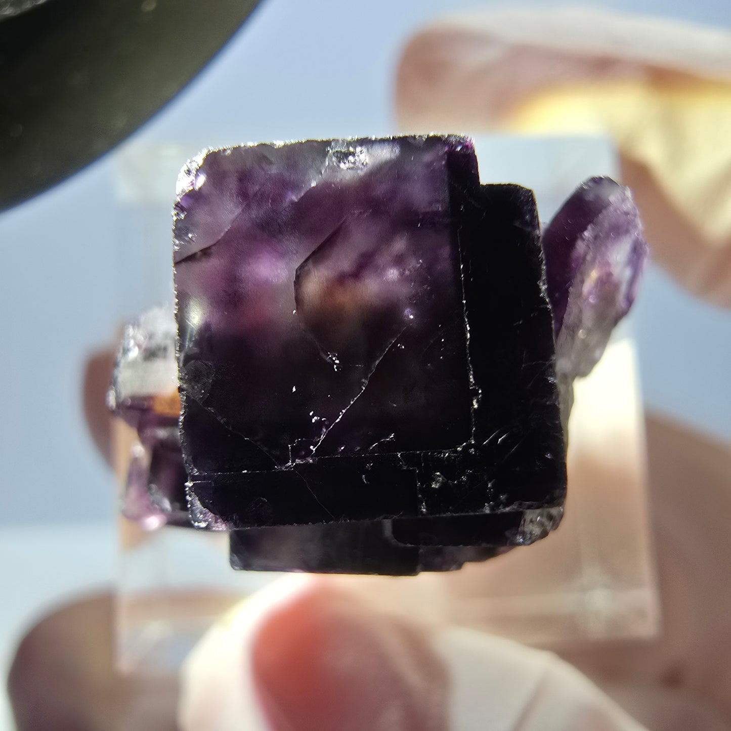 Spécimen de cube de fluorite fantôme, parqueté vert violet Okorusu, Namibie 22 x 20 x 14 mm