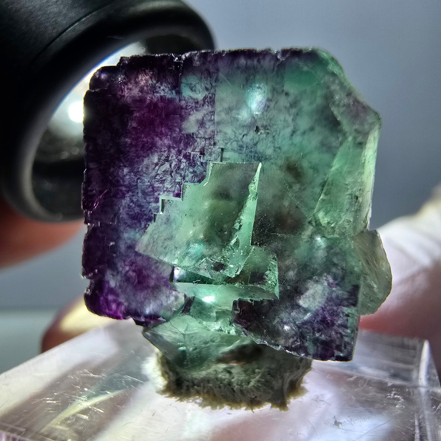 Spécimen de cube de fluorite fantôme, parqueté vert violet Okorusu, Namibie 22*20*11mm