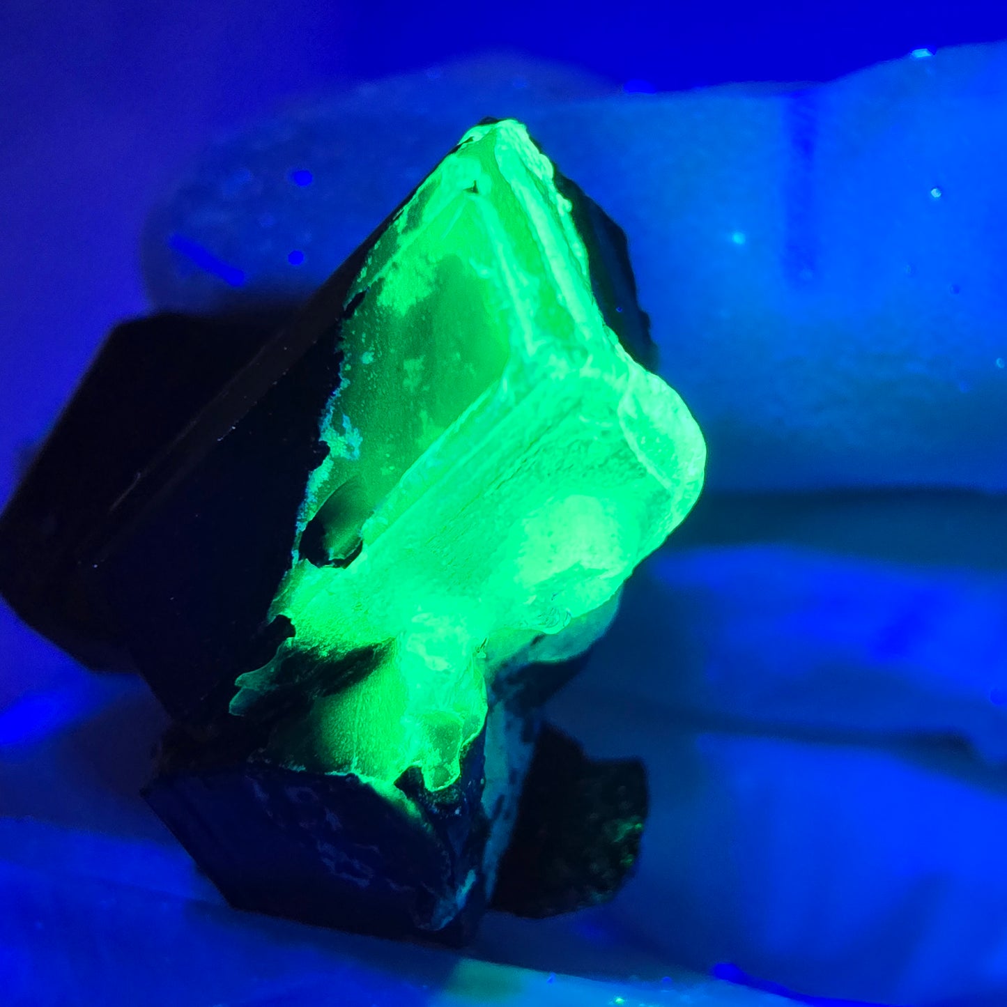Sym. Tourmaline Schörl, quartz fumé, stade hyalite Erongo, Namibie 34*27*15mm