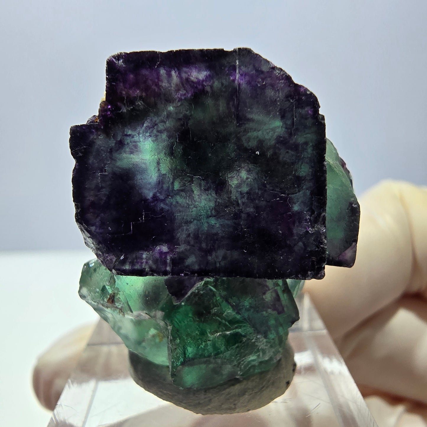 Phantom Fluorit Würfel Stufe, parkettiert grün lila Okorusu, Namibia 30*28*16mm