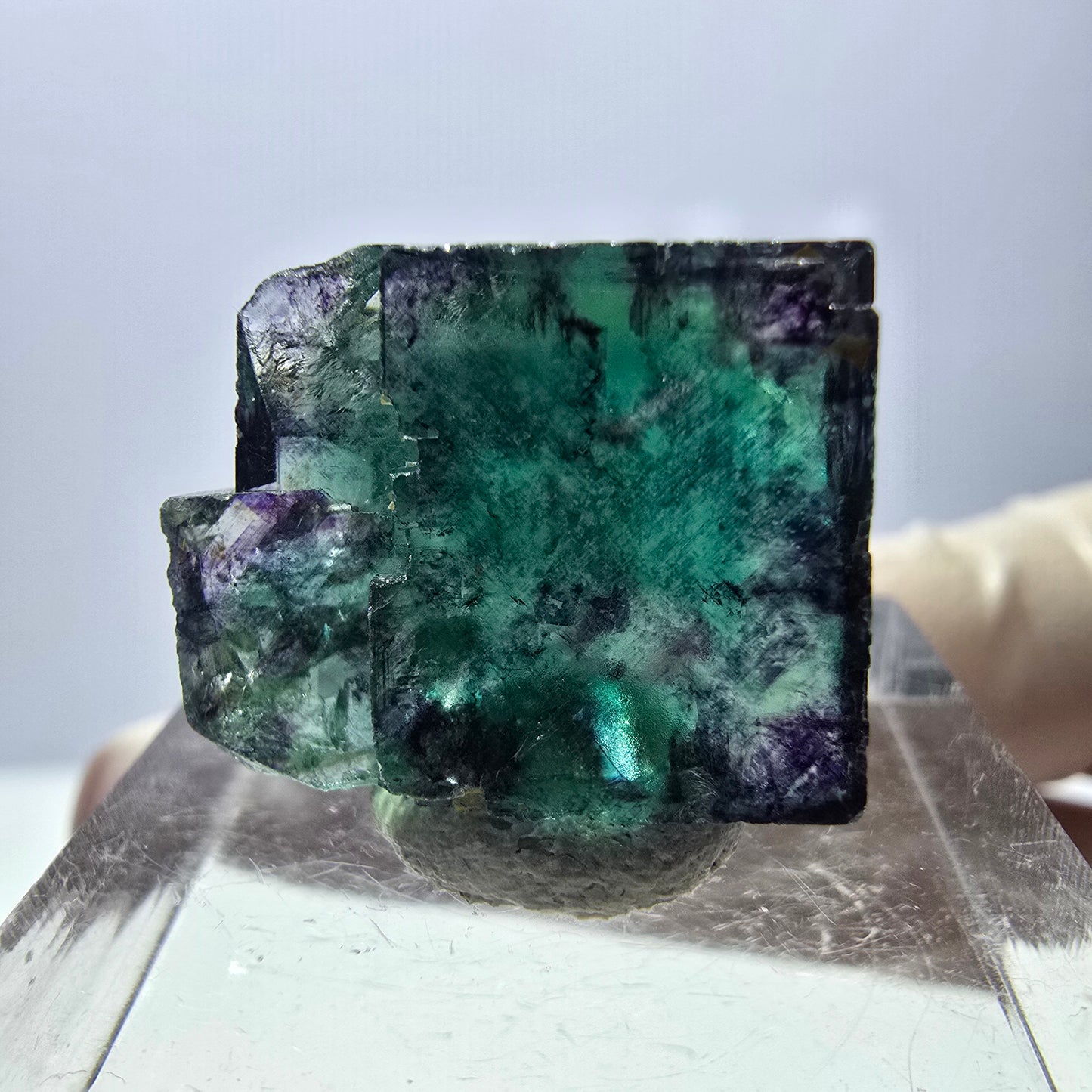 Phantom Fluorit Würfel Stufe, parkettiert grün lila Okorusu, Namibia 18*15*13mm