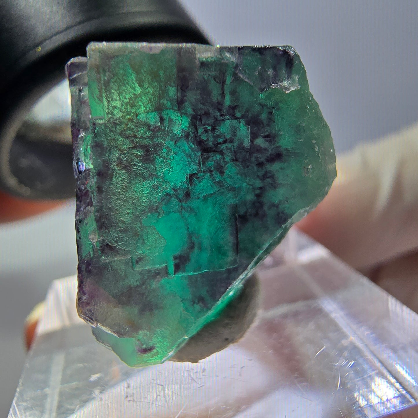 Phantom Fluorit Würfel Stufe, parkettiert grün lila Okorusu, Namibia 21*19*18mm