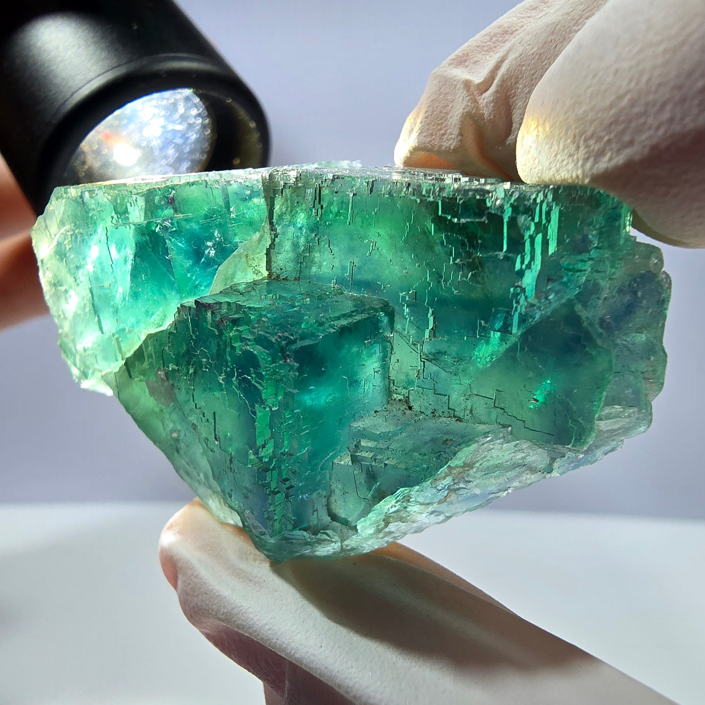 Spécimen de cube de fluorite fantôme transparente, vert parqueté, Okorusu, Namibie, 50 x 34 x 21 mm