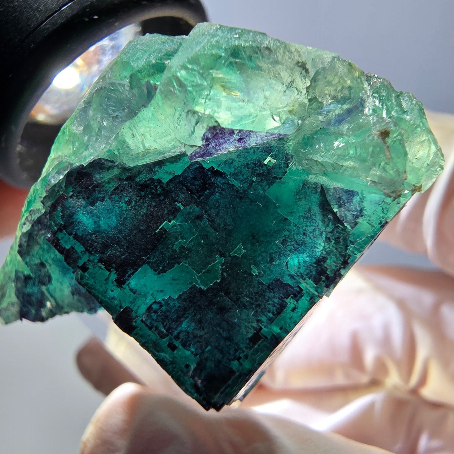Phantom Fluorit Würfel Stufe grün lila zonal 11:11 Angel Pocket, Namibia 35*28*22mm