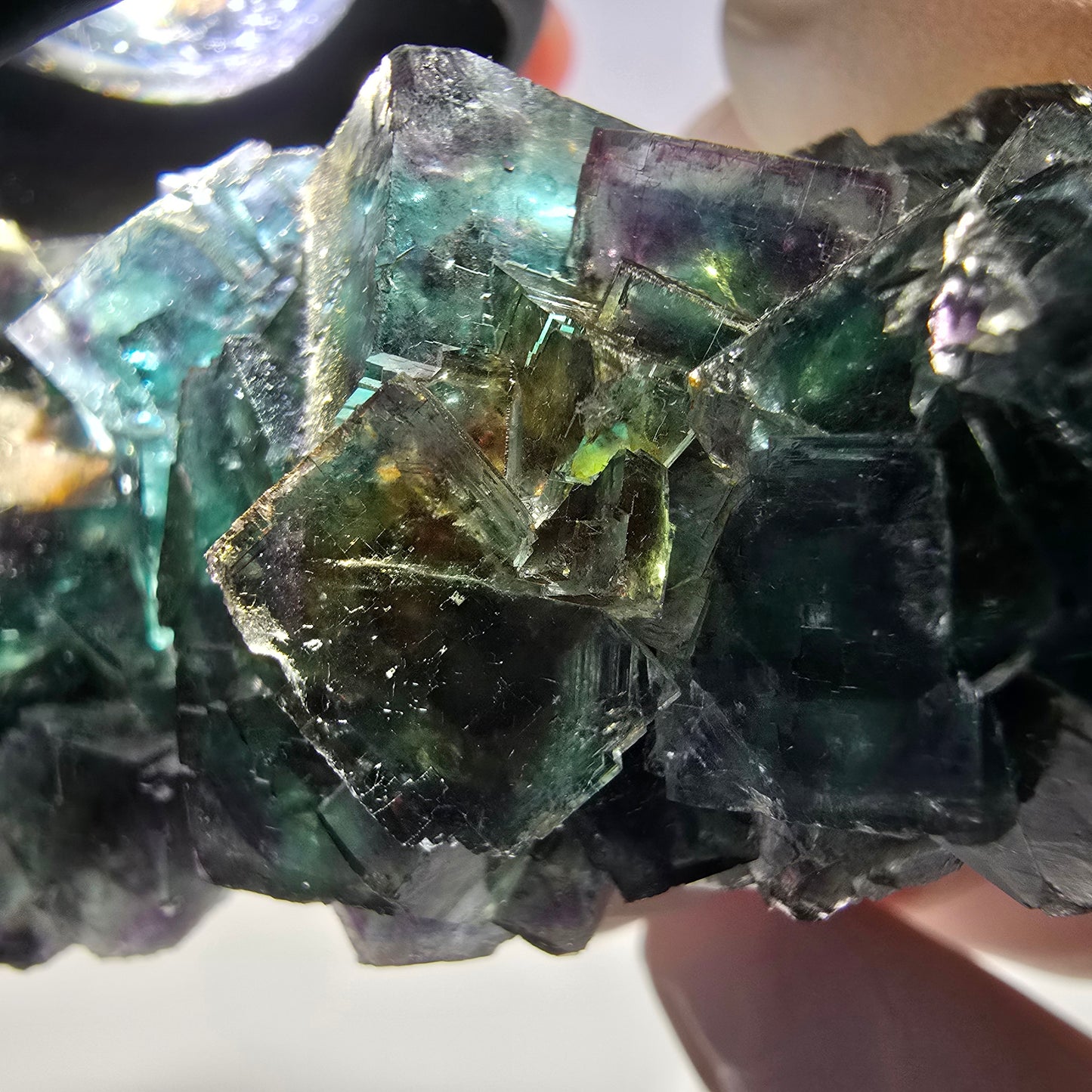 Spécimen de cube de fluorite fantôme, parqueté vert-brun Okorusu, Namibie 89 x 42 x 26 mm