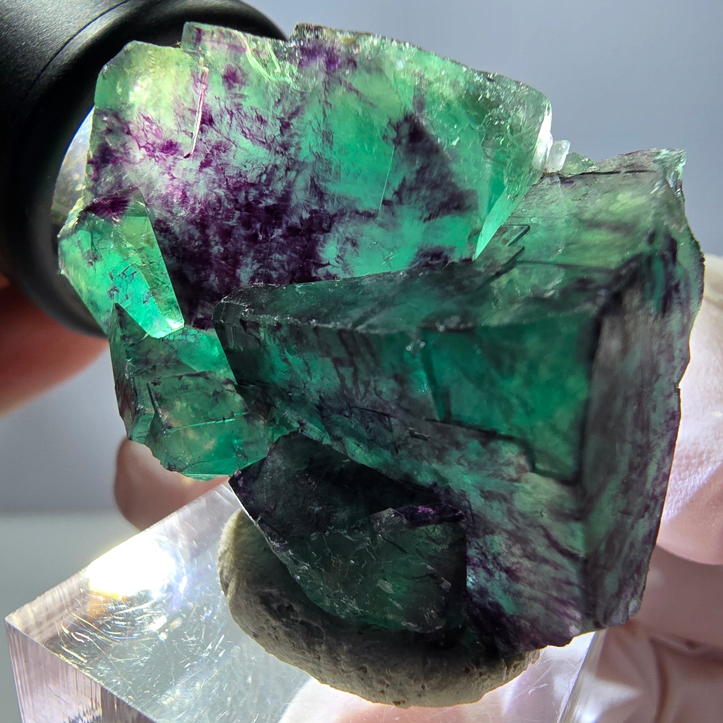 Spécimen de cube de fluorite fantôme, parqueté vert violet Okorusu, Namibie 40*31*20 mm