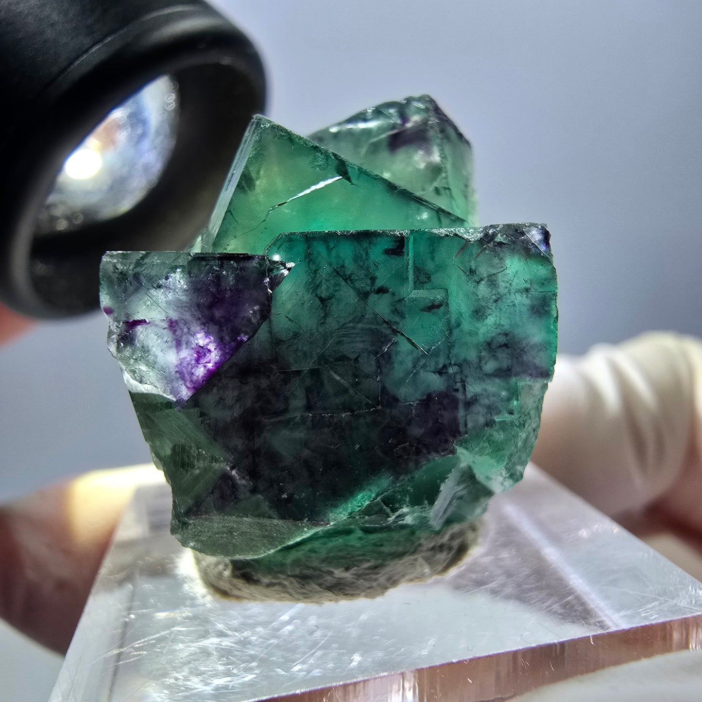 Spécimen de cube de fluorite fantôme, parqueté vert violet Okorusu, Namibie 26*20*18 mm