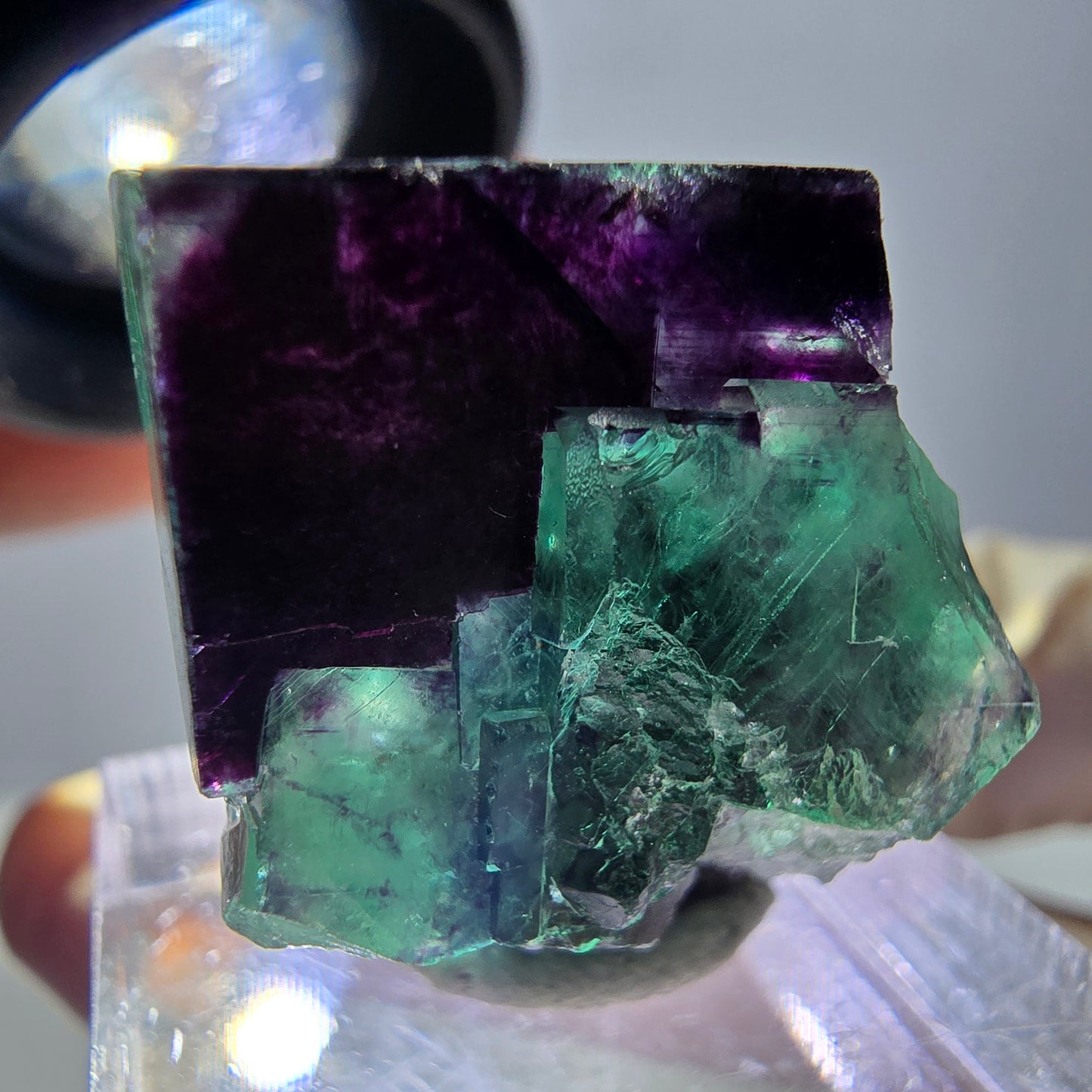 Phantom Fluorit Würfel Stufe, parkettiert grün lila Okorusu, Namibia 23*23*15mm
