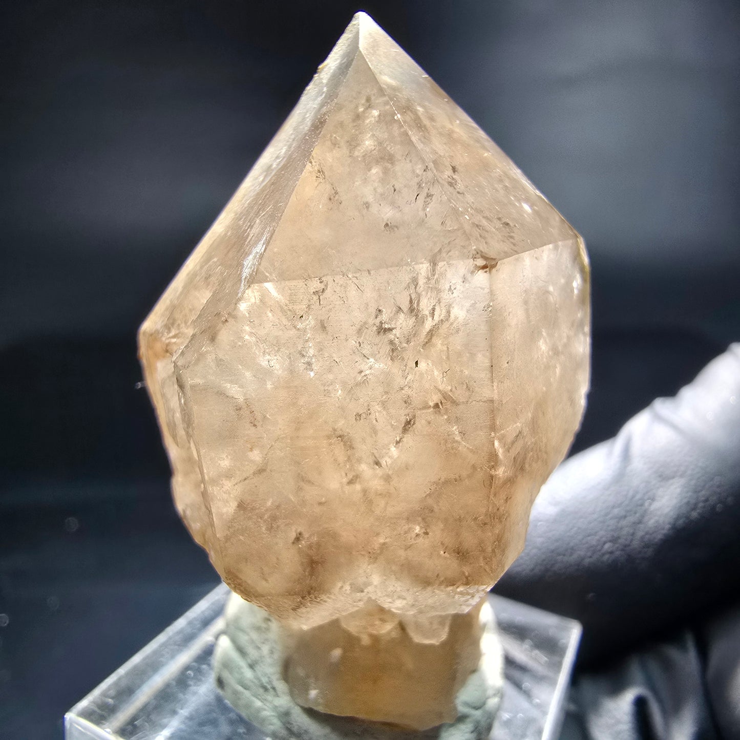 Schöne Phantom Rauchquarz Zepter Spitze Erongo, Namibia 44*31*26mm Sammlung