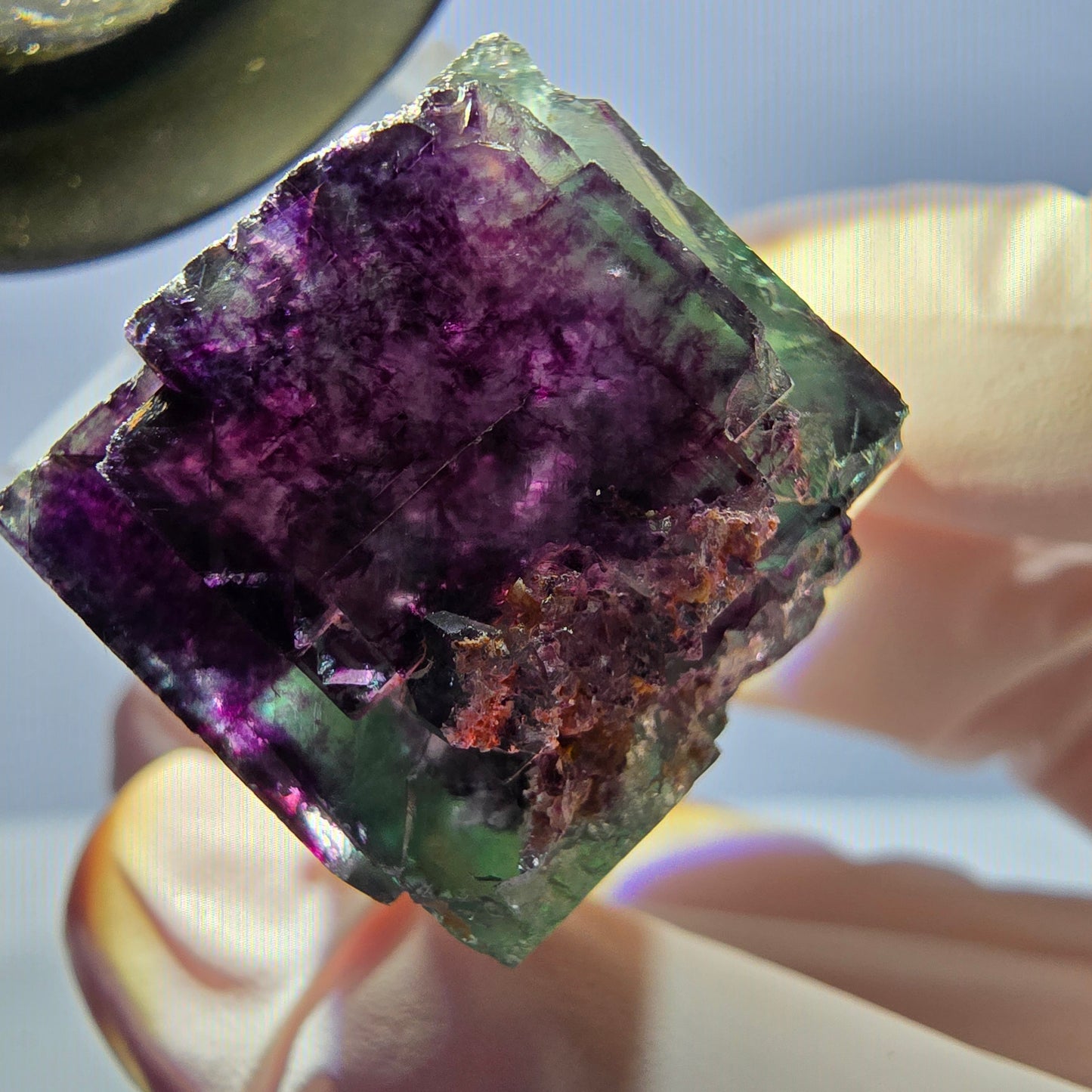 Spécimen de cube de fluorite fantôme, parqueté vert violet Okorusu, Namibie 22 x 20 x 19 mm
