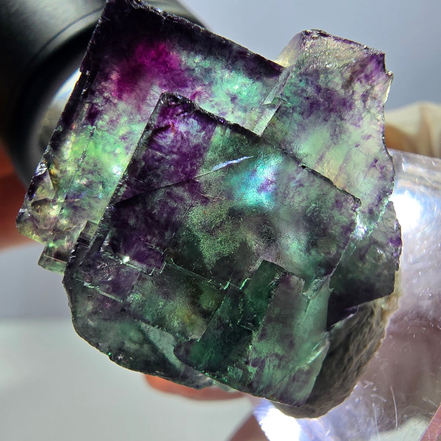 Phantom Fluorit Würfel Stufe, parkettiert grün lila Okorusu, Namibia 33*25*19mm