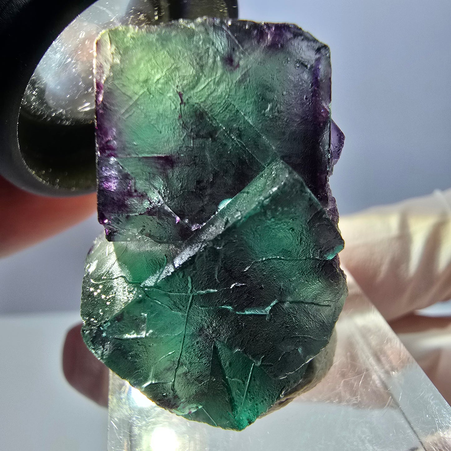 Spécimen de cube de fluorite fantôme, parqueté vert violet Okorusu, Namibie 32*23*16 mm