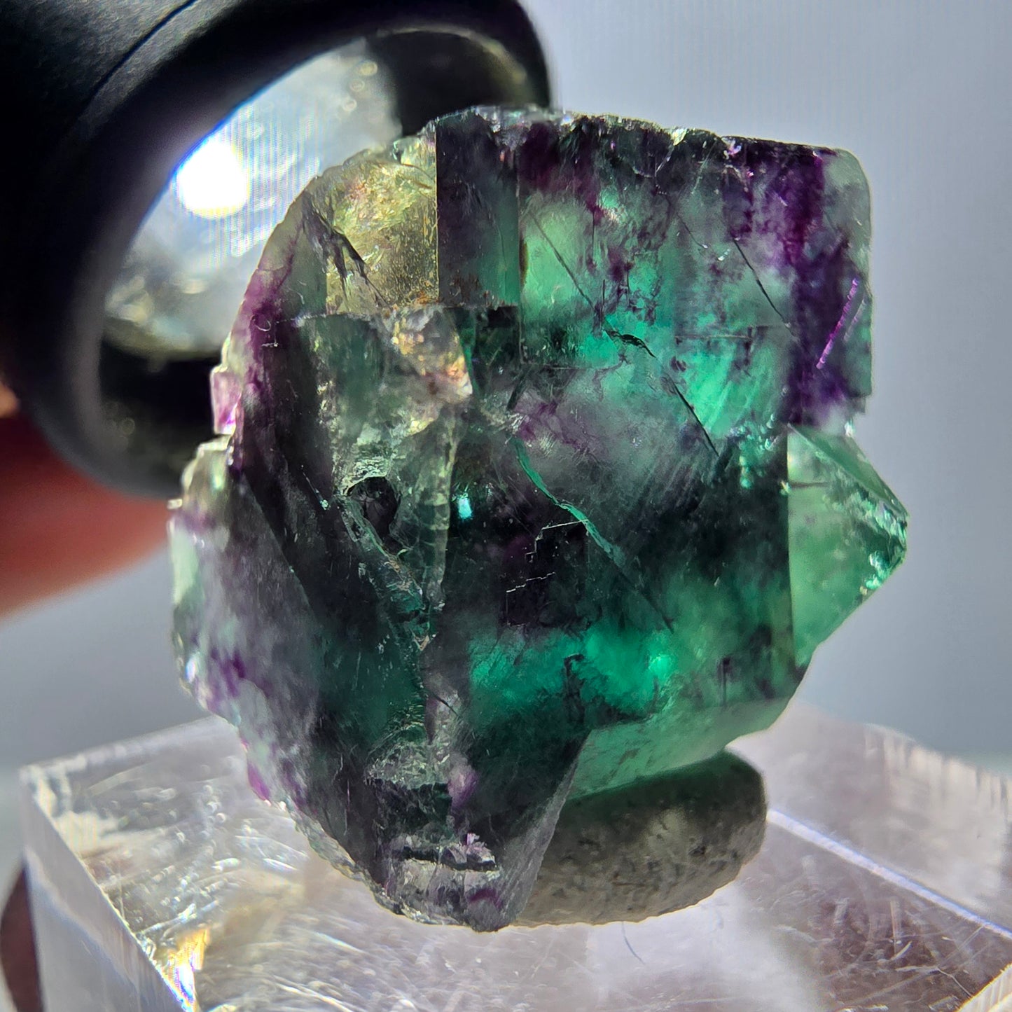 Spécimen de cube de fluorite fantôme, parqueté vert violet Okorusu, Namibie 22*22*18 mm
