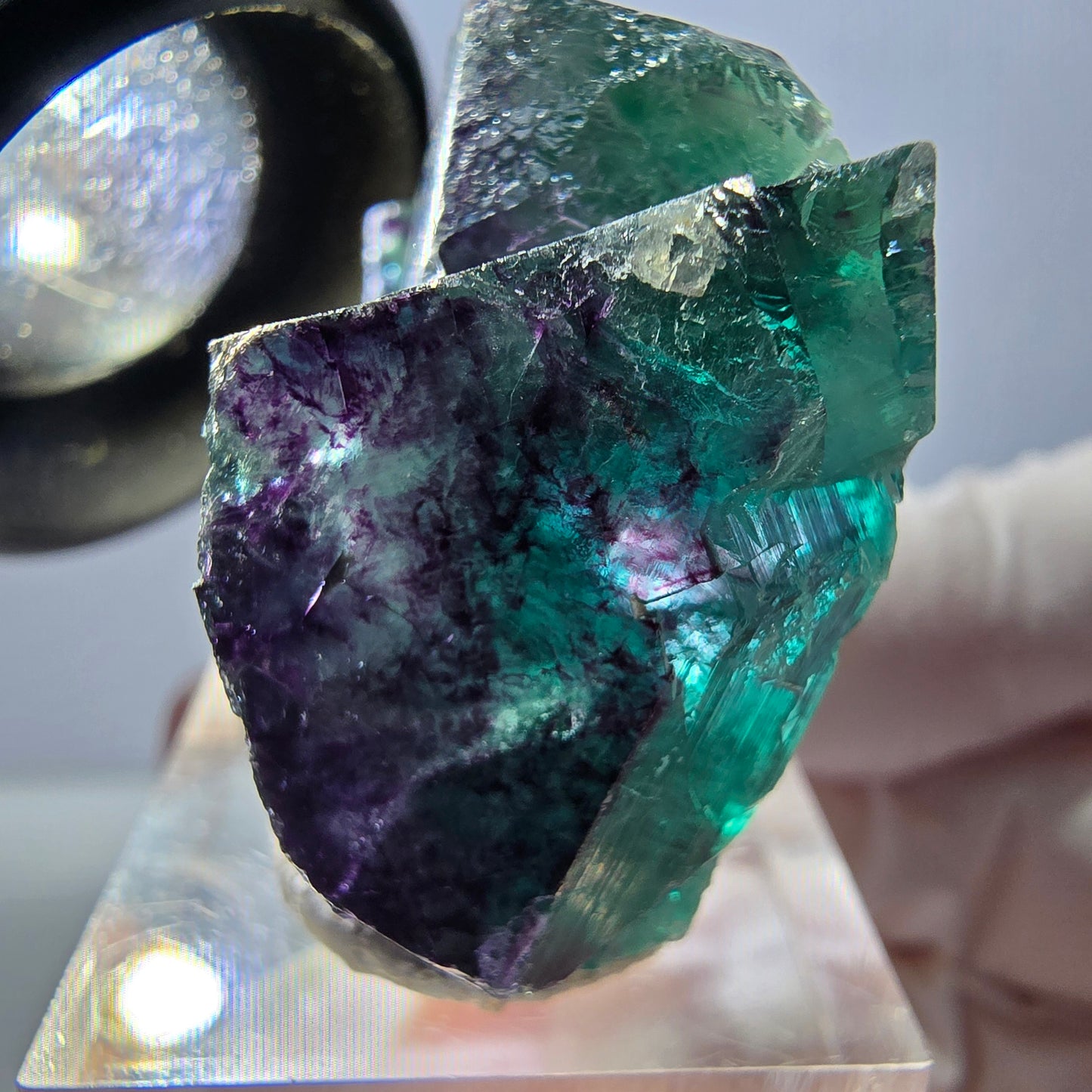 Spécimen de cube de fluorite fantôme, parqueté vert violet Okorusu, Namibie 40*31*20 mm