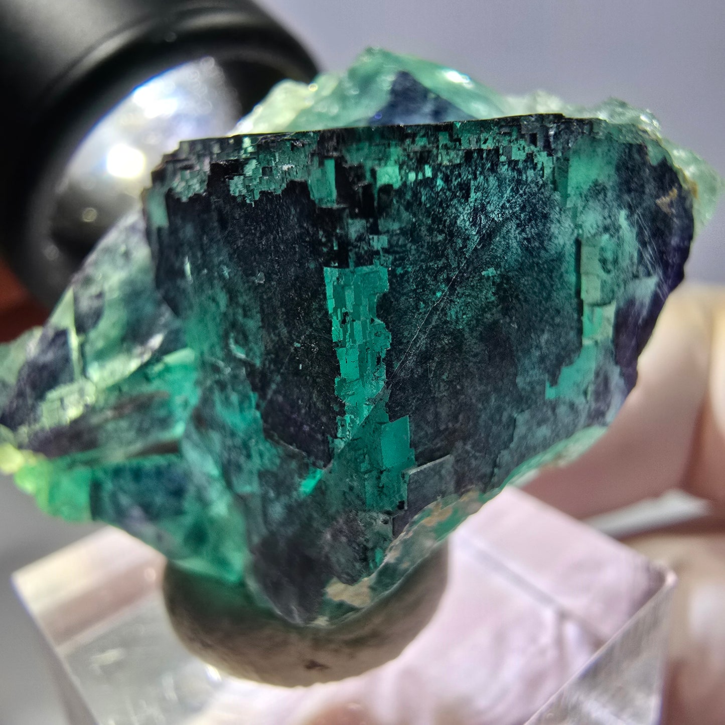 Phantom Fluorit Würfel Stufe grün lila zonal 11:11 Angel Pocket, Namibia 35*28*22mm