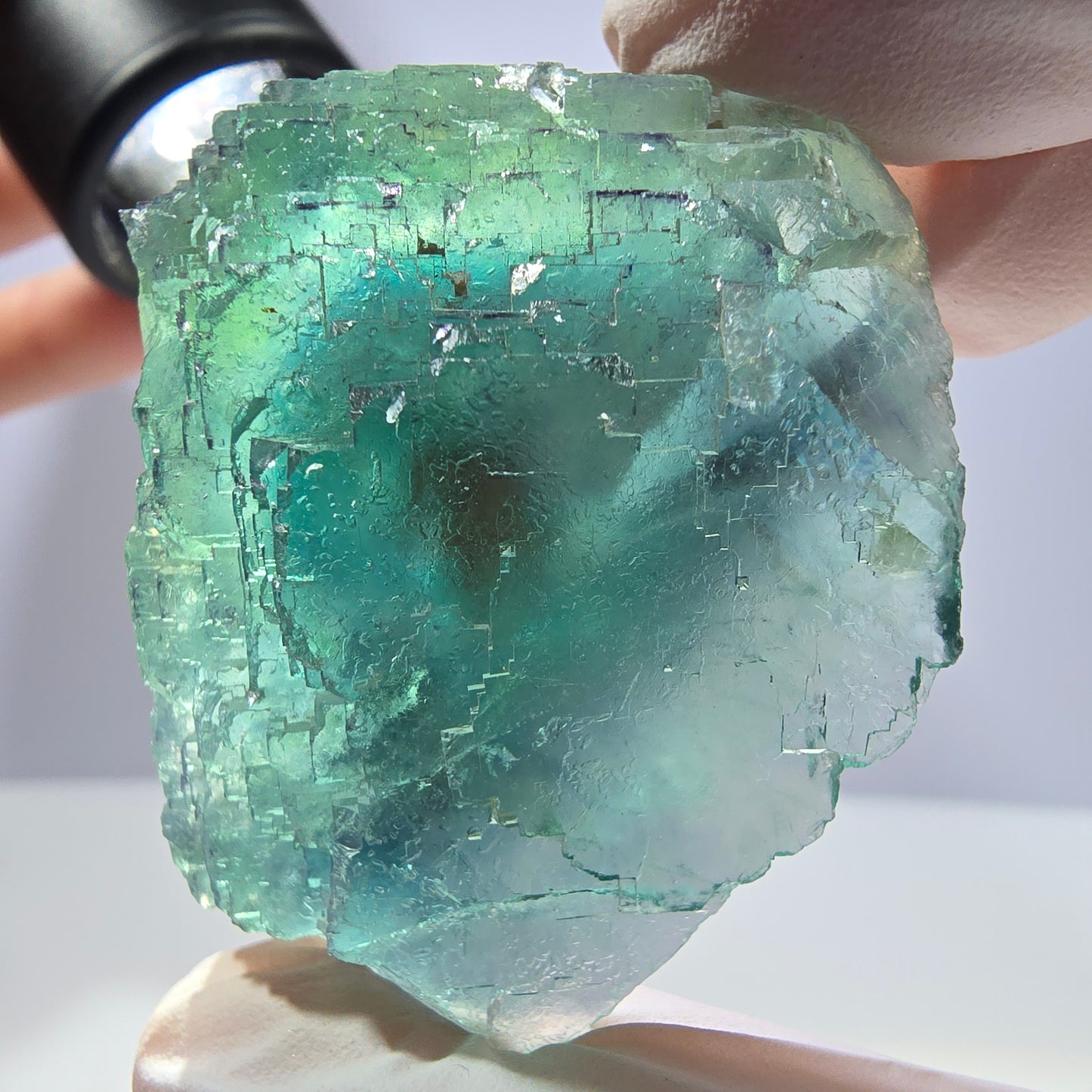 Spécimen de cube de fluorite fantôme transparente, vert parqueté, Okorusu, Namibie, 47 x 40 x 22 mm