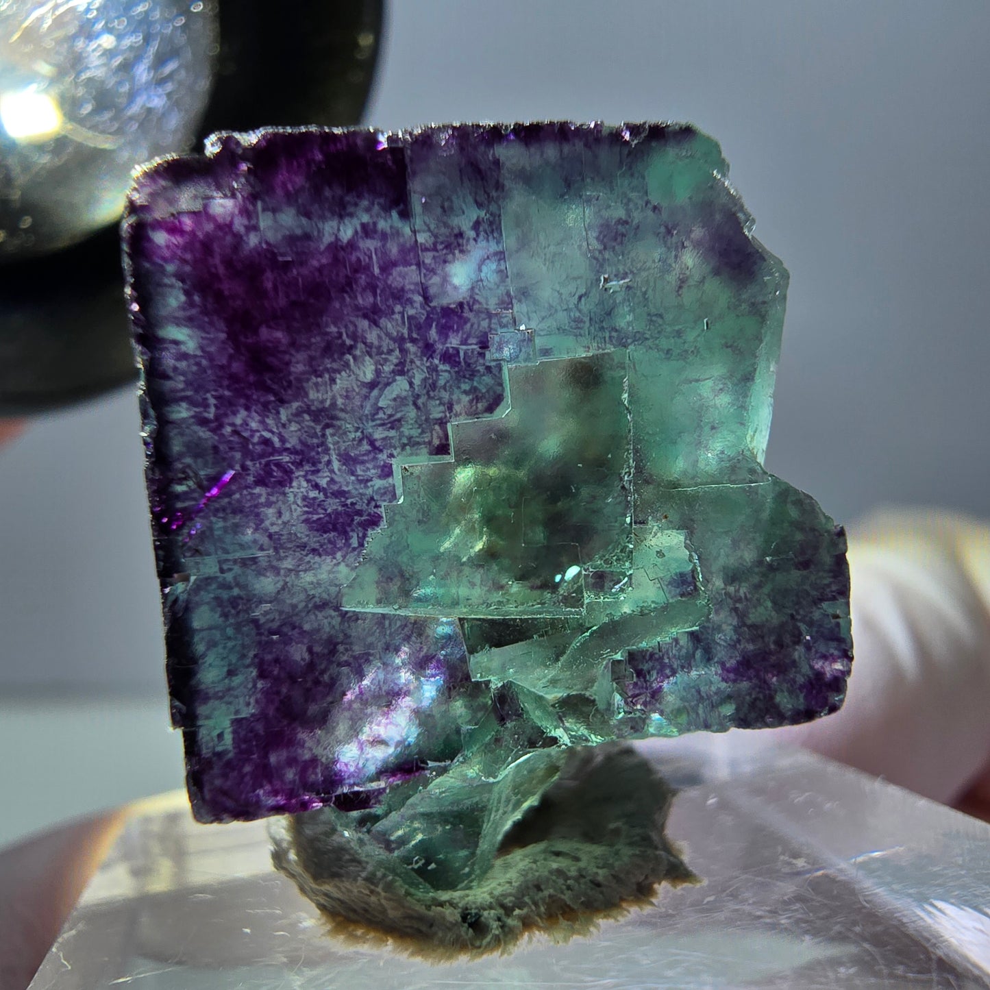 Spécimen de cube de fluorite fantôme, parqueté vert violet Okorusu, Namibie 22*20*11mm