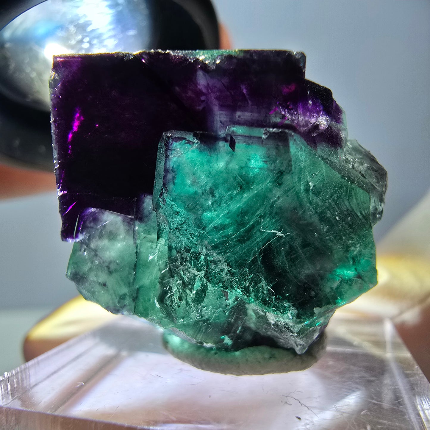 Phantom Fluorit Würfel Stufe, parkettiert grün lila Okorusu, Namibia 23*23*15mm