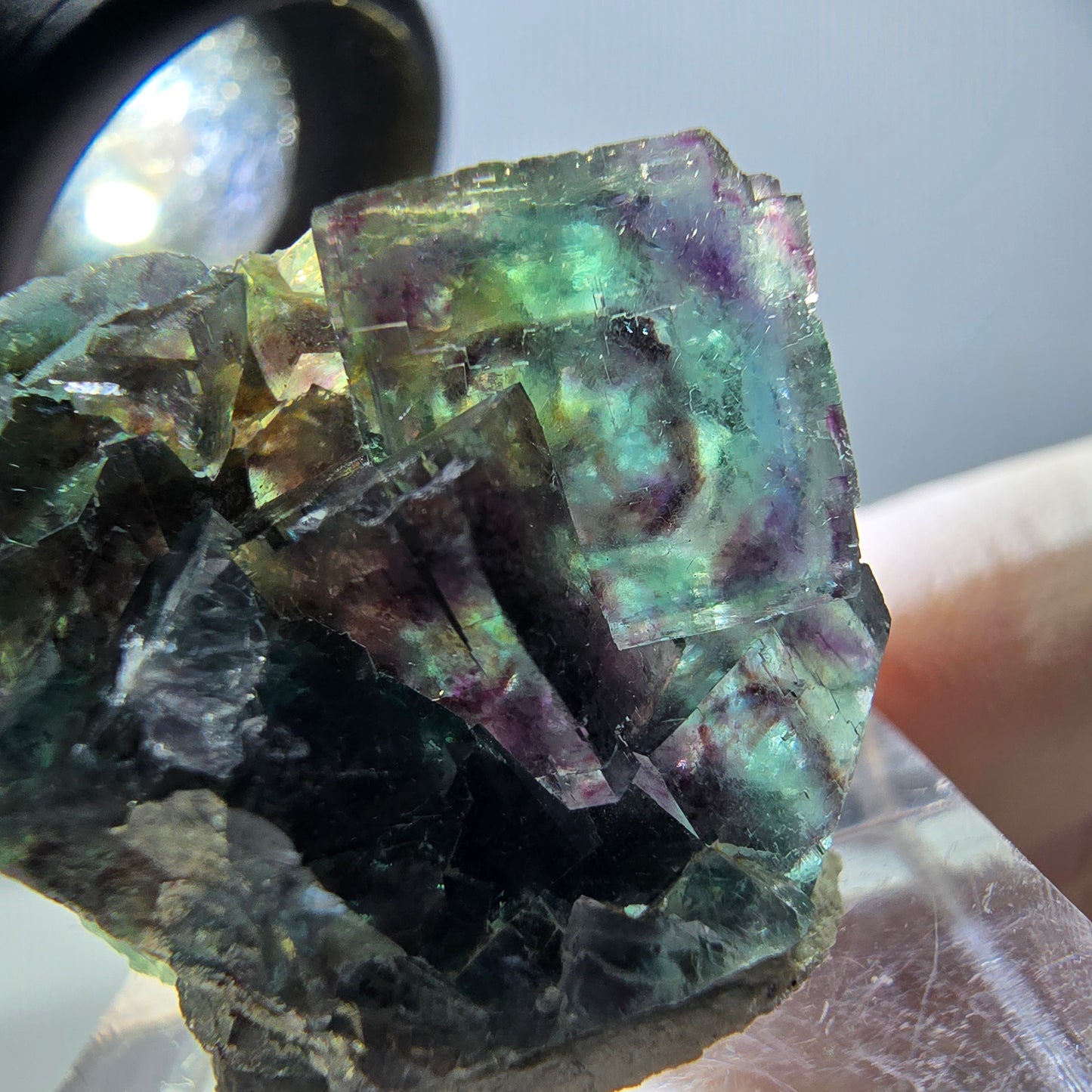 Spécimen de cube de fluorite fantôme, parqueté vert violet Okorusu, Namibie 29*21*12 mm