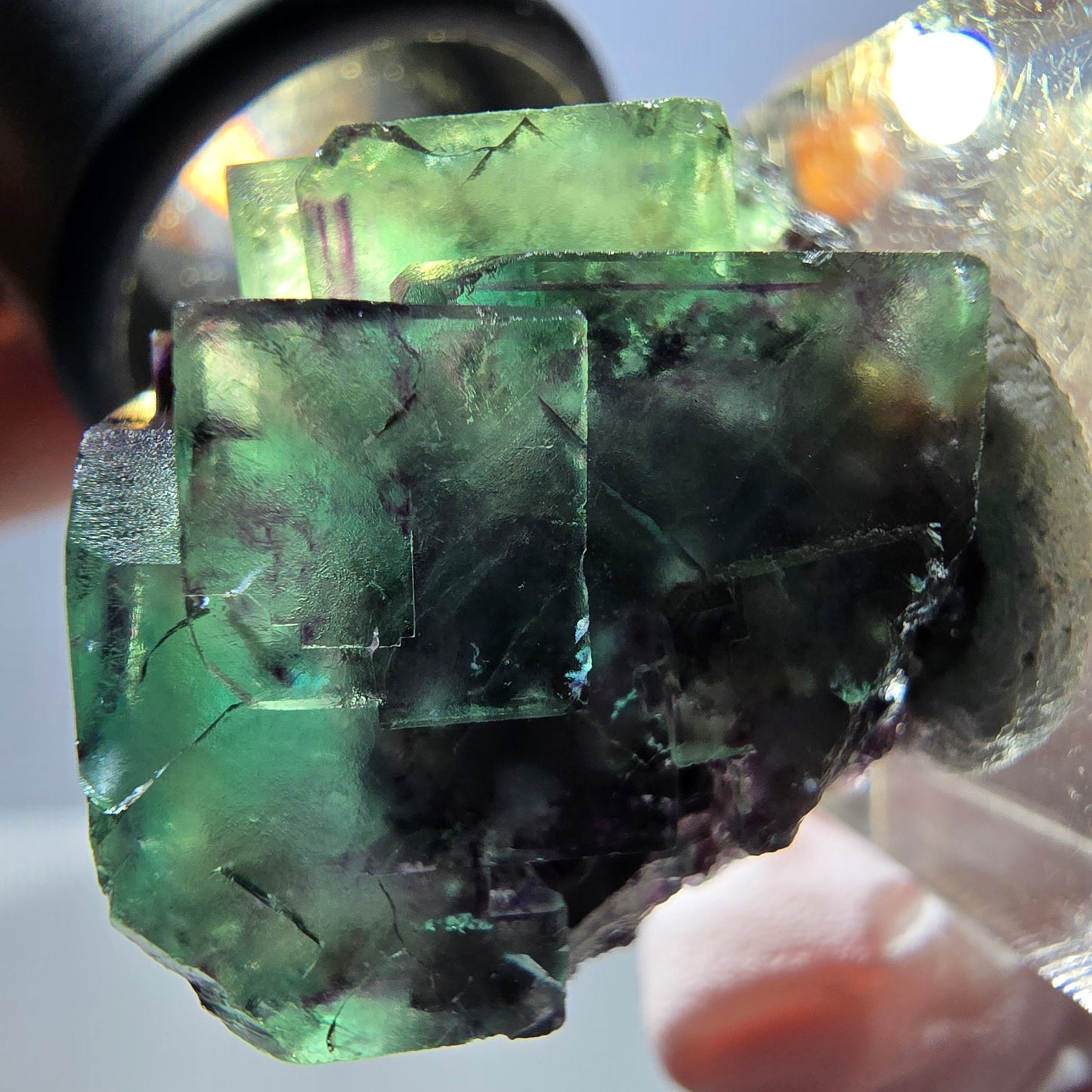 Spécimen de cube de fluorite fantôme, parqueté vert violet Okorusu, Namibie 26*25*16 mm