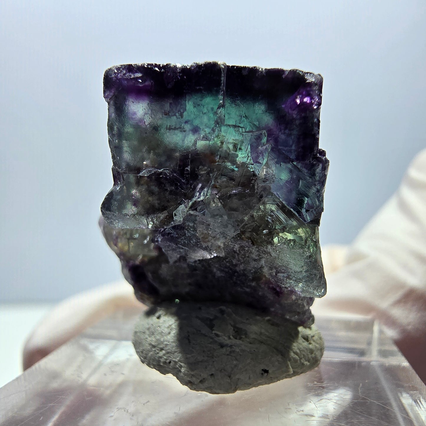Spécimen de cube de fluorite fantôme, parqueté vert violet Okorusu, Namibie 25*19*15 mm