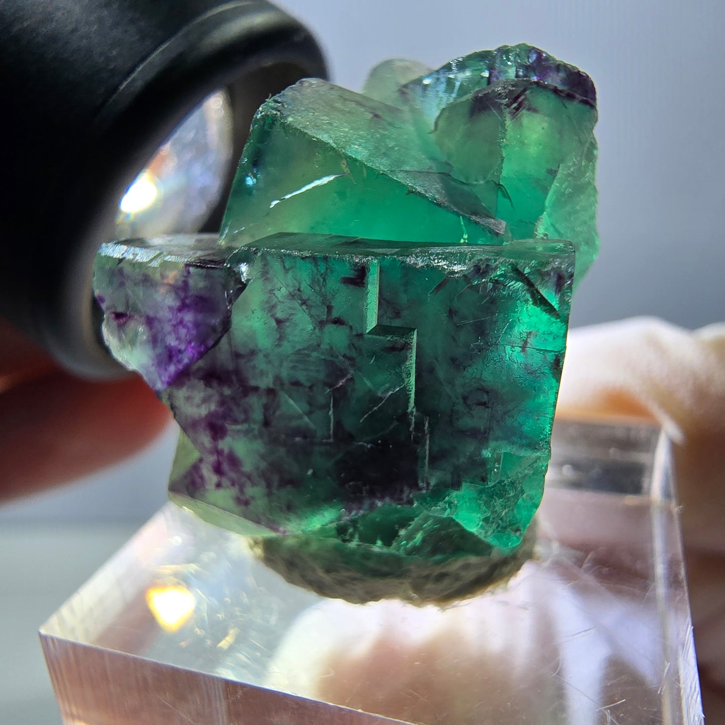 Spécimen de cube de fluorite fantôme, parqueté vert violet Okorusu, Namibie 26*20*18 mm