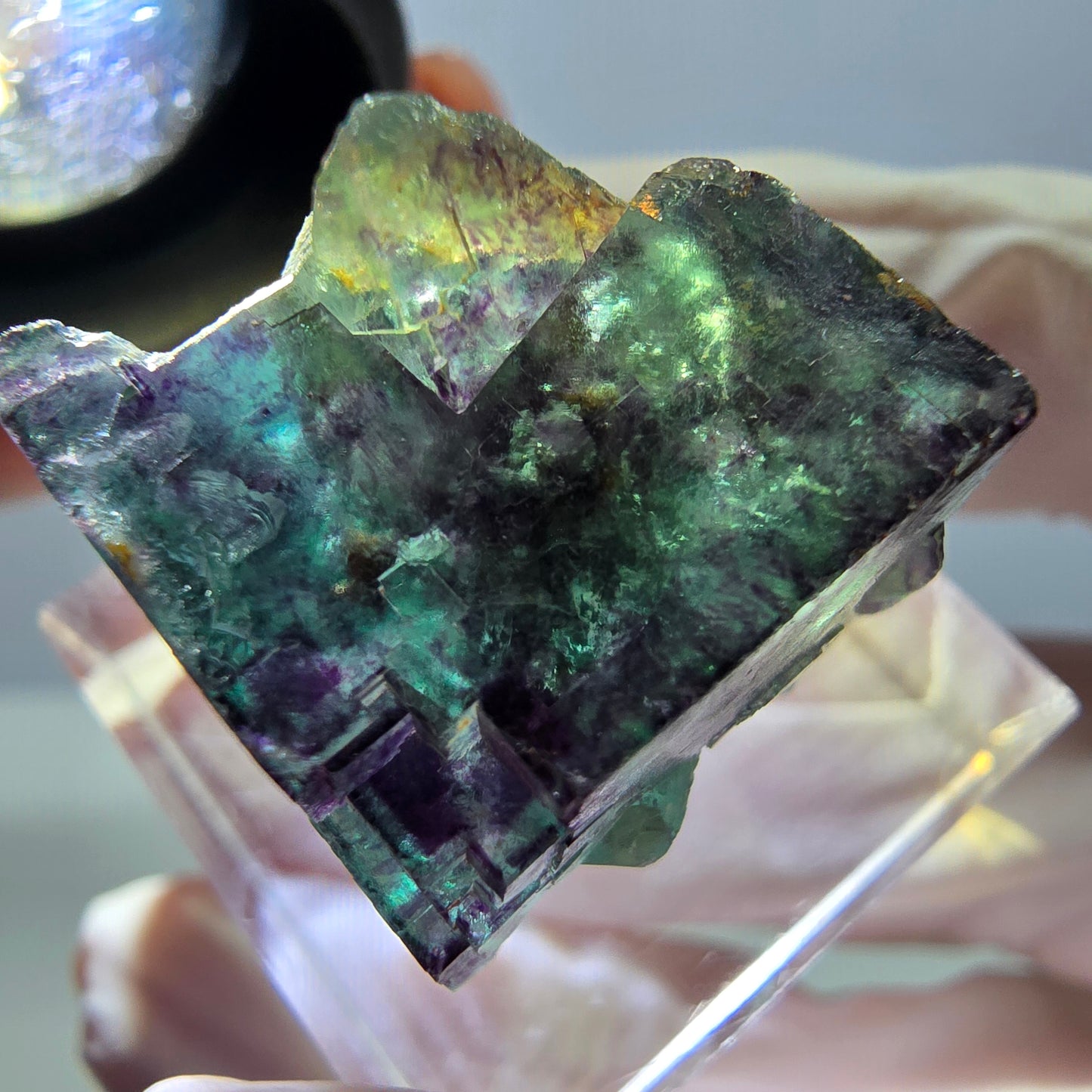 Phantom Fluorit Würfel Stufe, parkettiert, zonal Okorusu, Namibia 23*22*20mm