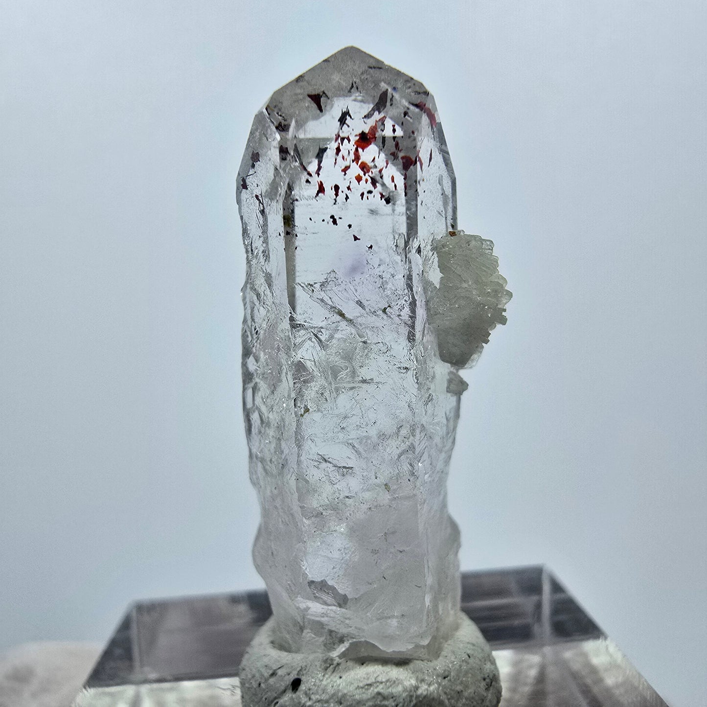 Quartz Harlequin avec préhnite Point Streep Mine, Goboboseb, Namibie 31 x 12 x 9 mm