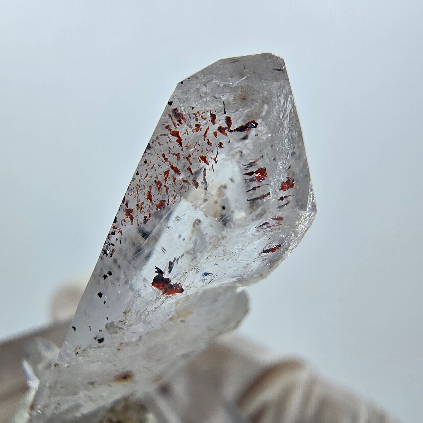 Quartz clair Harlequin Point Streep Mine, Goboboseb, Namibie 32 x 10 x 10 mm