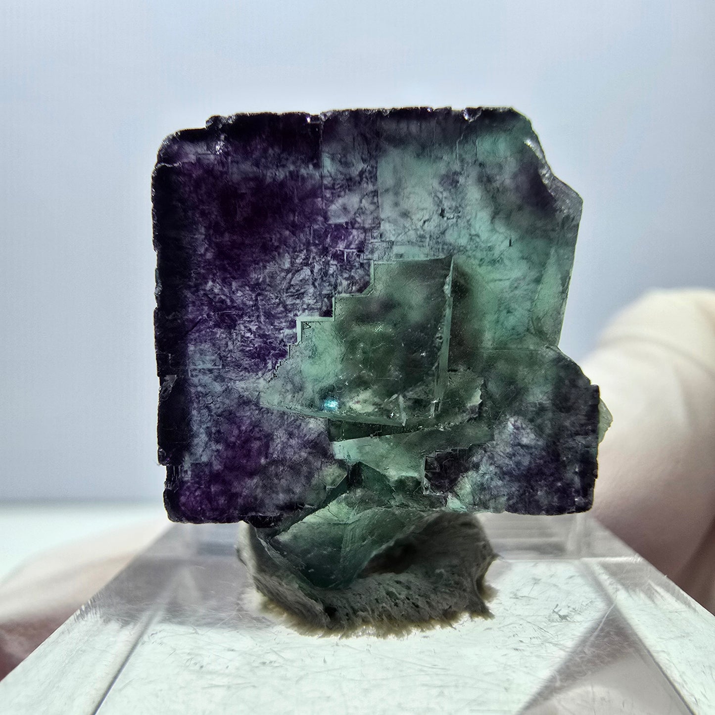 Spécimen de cube de fluorite fantôme, parqueté vert violet Okorusu, Namibie 22*20*11mm