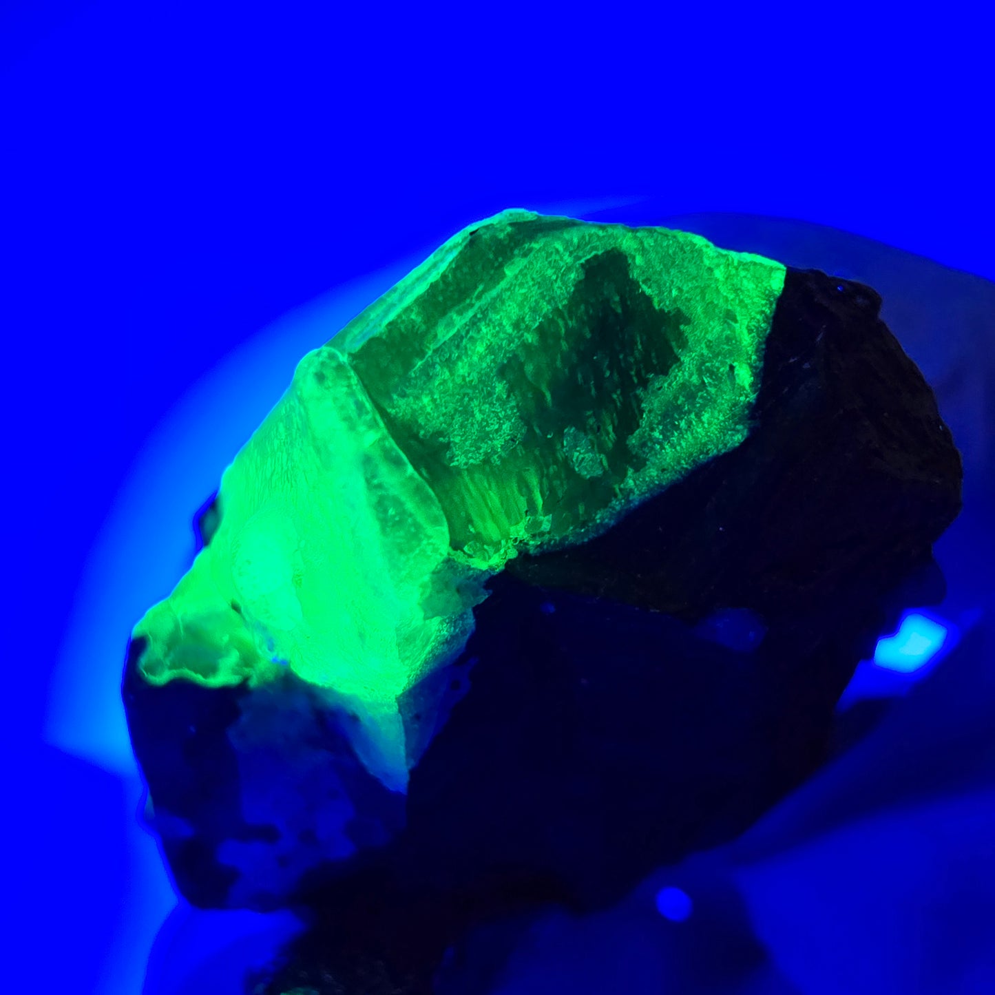 Sym. Tourmaline Schörl, quartz fumé, stade hyalite Erongo, Namibie 34*27*15mm