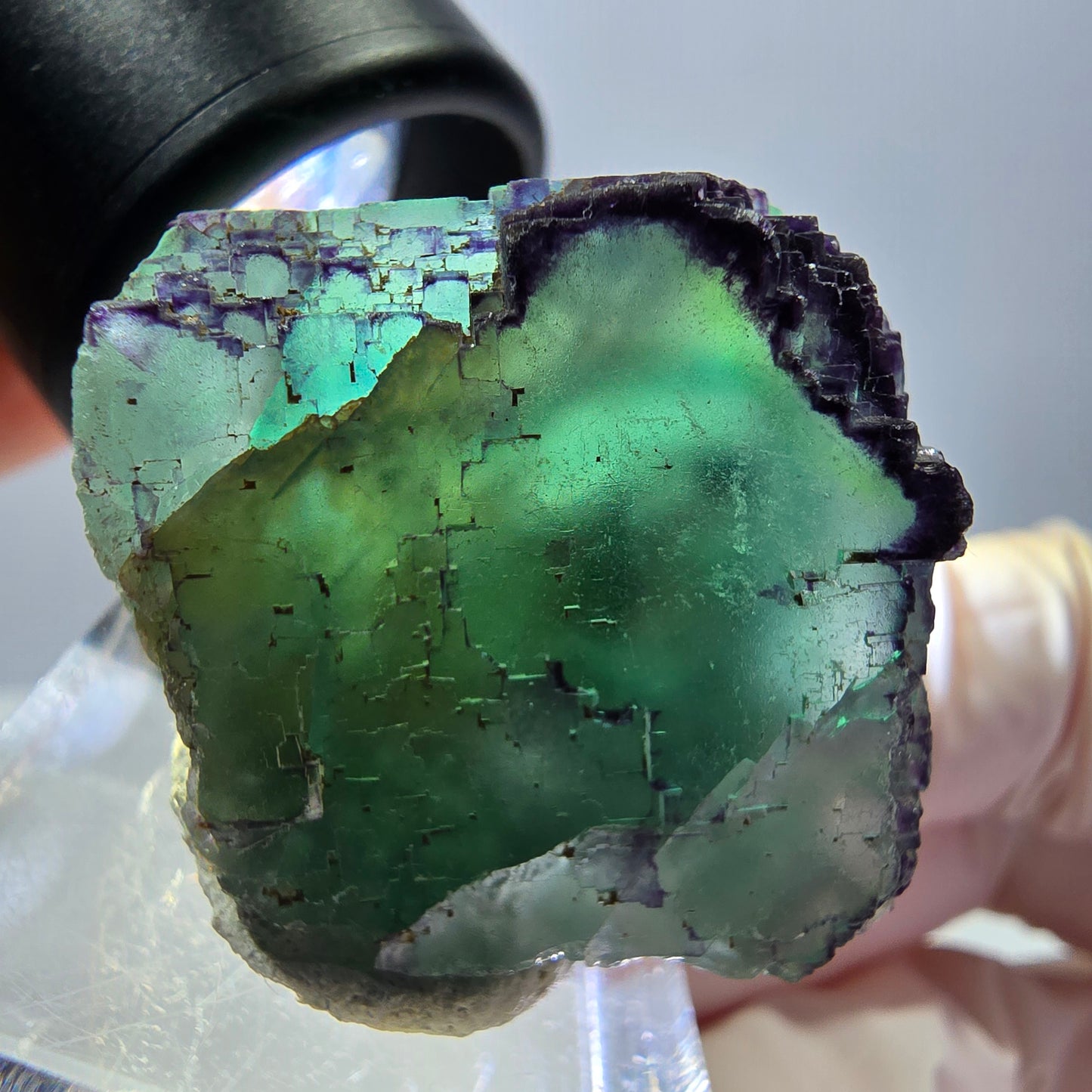 Phantom Fluorit Würfel Stufe, parkettiert, zonal Okorusu, Namibia 28*27*23mm