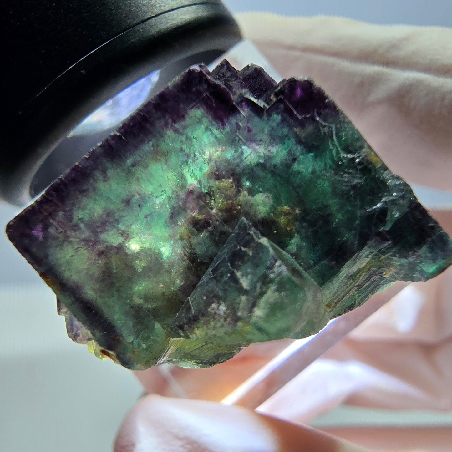 Phantom Fluorit Würfel Stufe, parkettiert, zonal Okorusu, Namibia 23*22*20mm