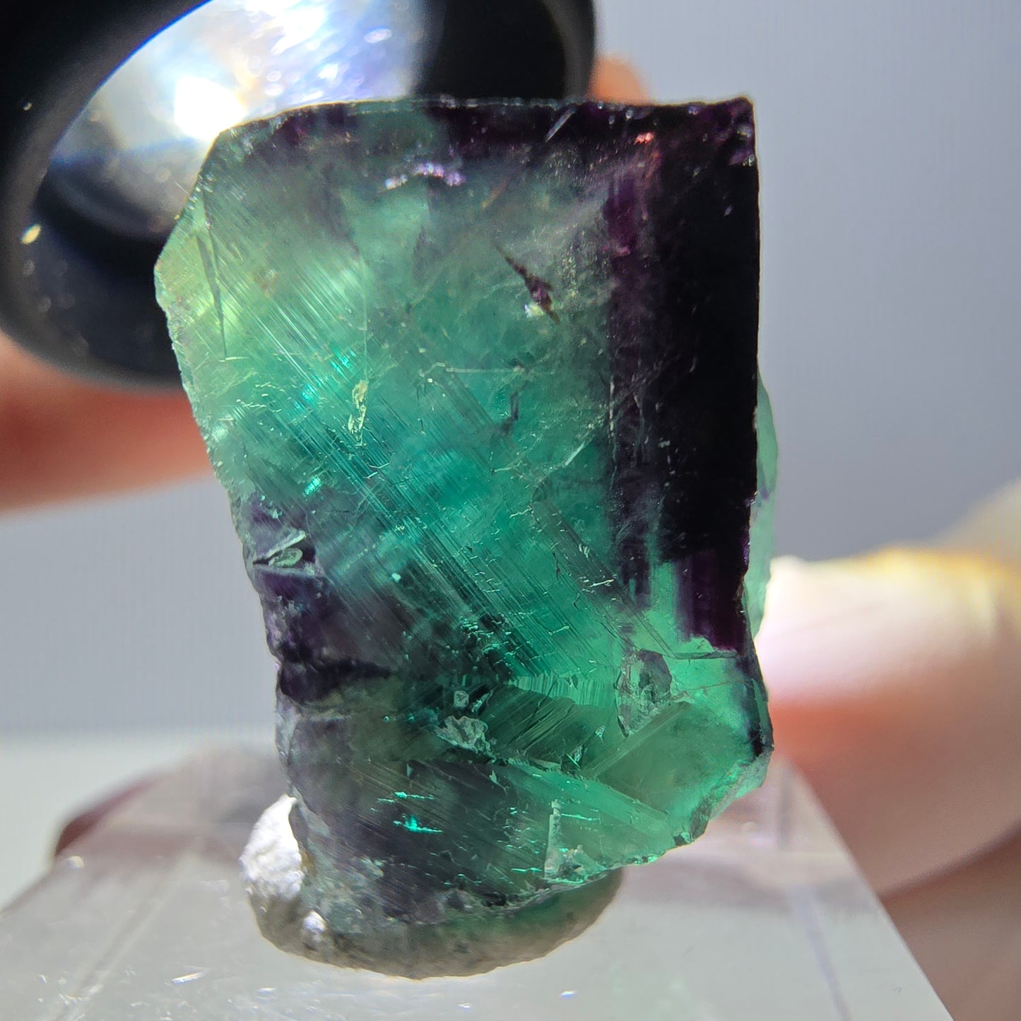 Phantom Fluorit Würfel Stufe, parkettiert grün lila Okorusu, Namibia 23*23*15mm