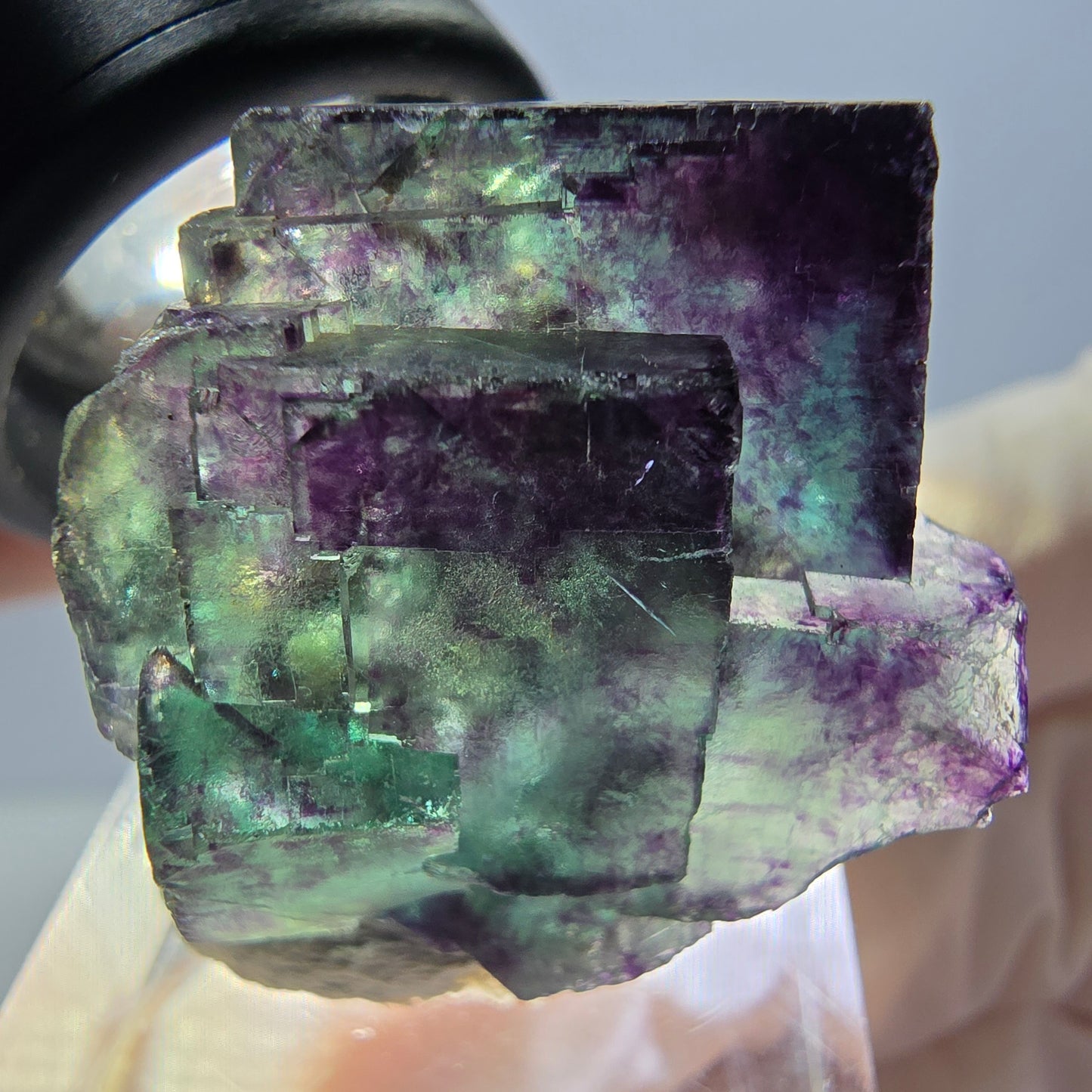 Phantom Fluorit Würfel Stufe, parkettiert grün lila Okorusu, Namibia 33*25*19mm