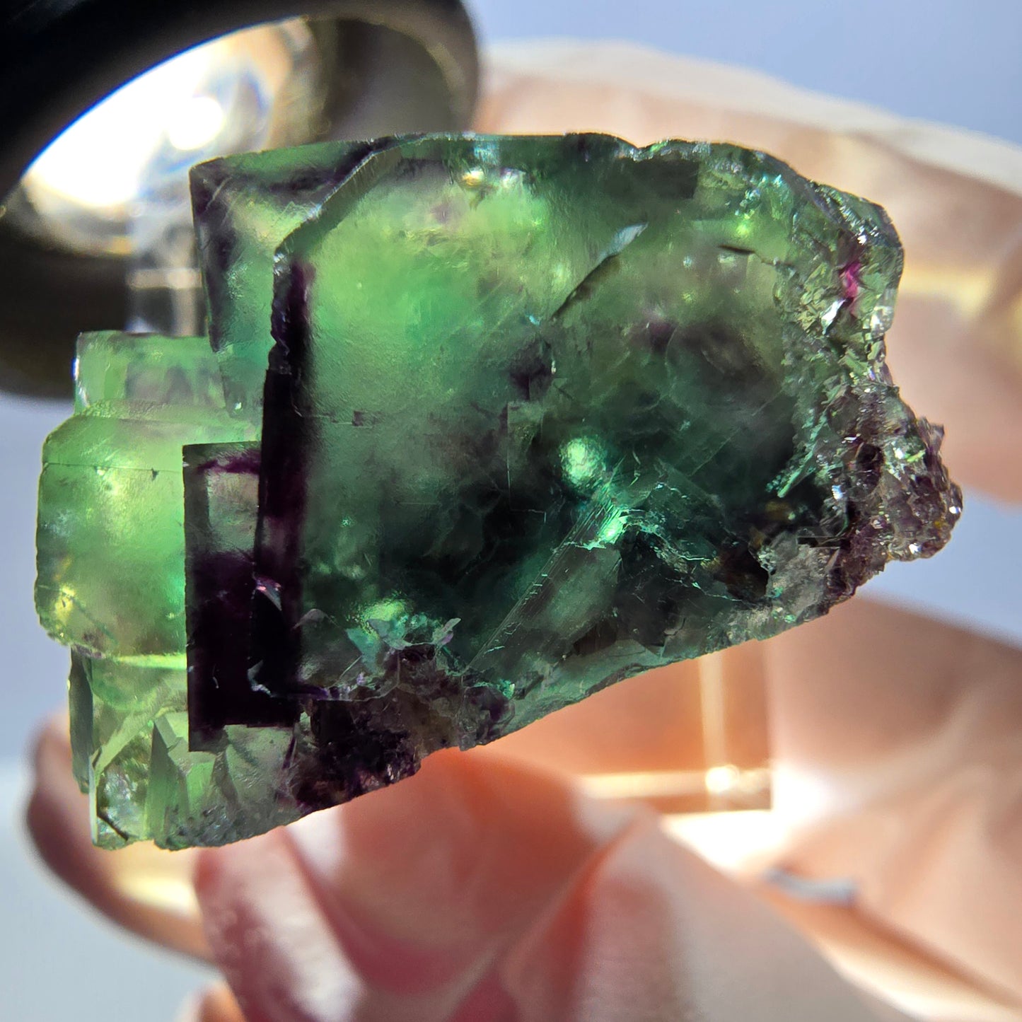 Spécimen de cube de fluorite fantôme, parqueté vert violet Okorusu, Namibie 26*25*16 mm