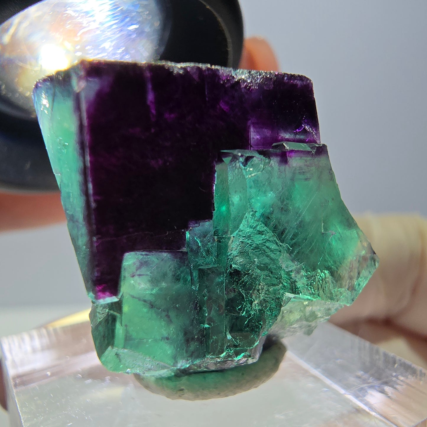 Phantom Fluorit Würfel Stufe, parkettiert grün lila Okorusu, Namibia 23*23*15mm