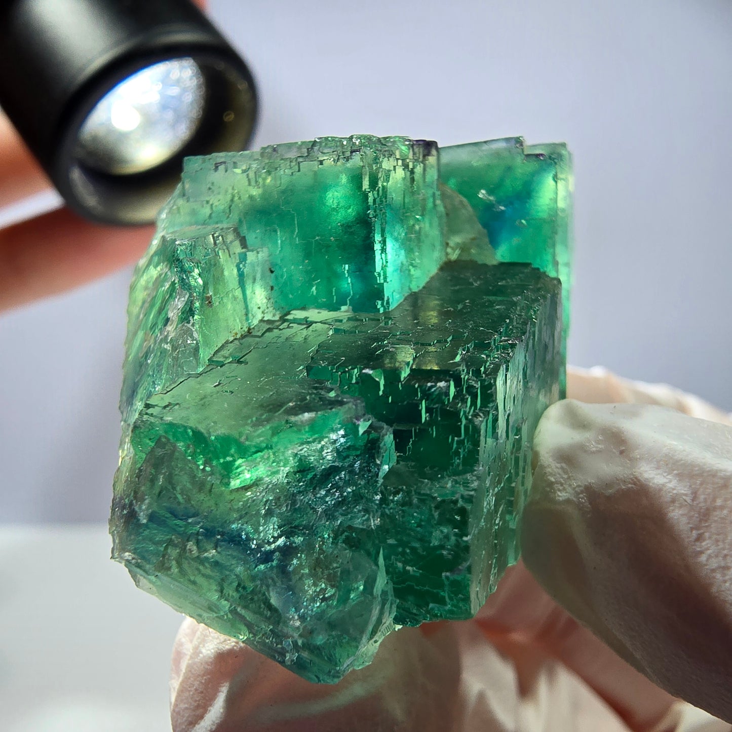 Spécimen de cube de fluorite fantôme transparente, vert parqueté, Okorusu, Namibie, 50 x 34 x 21 mm