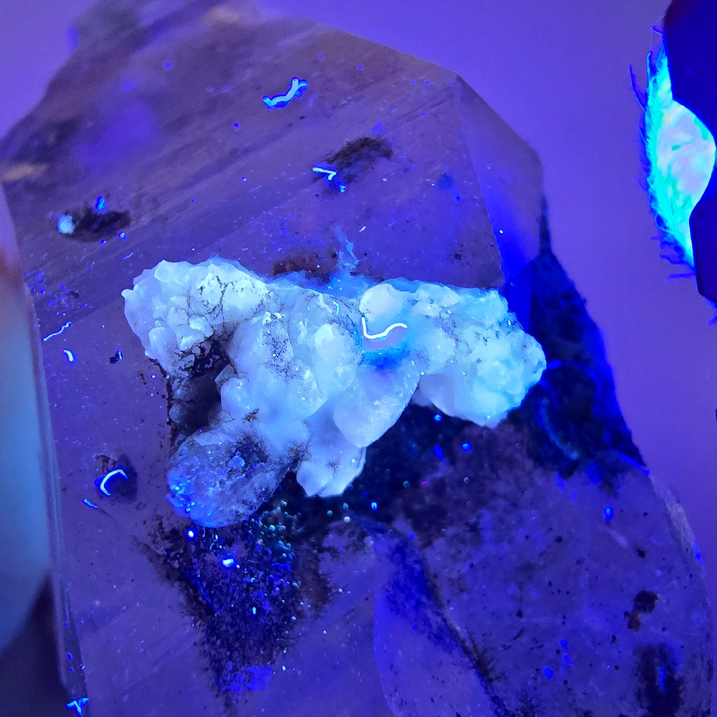 Quartz fumé squelette Enhydro DT, calcite UV, 2x Bubble Valentine Pocket, Namibie 91 x 45 x 27 mm