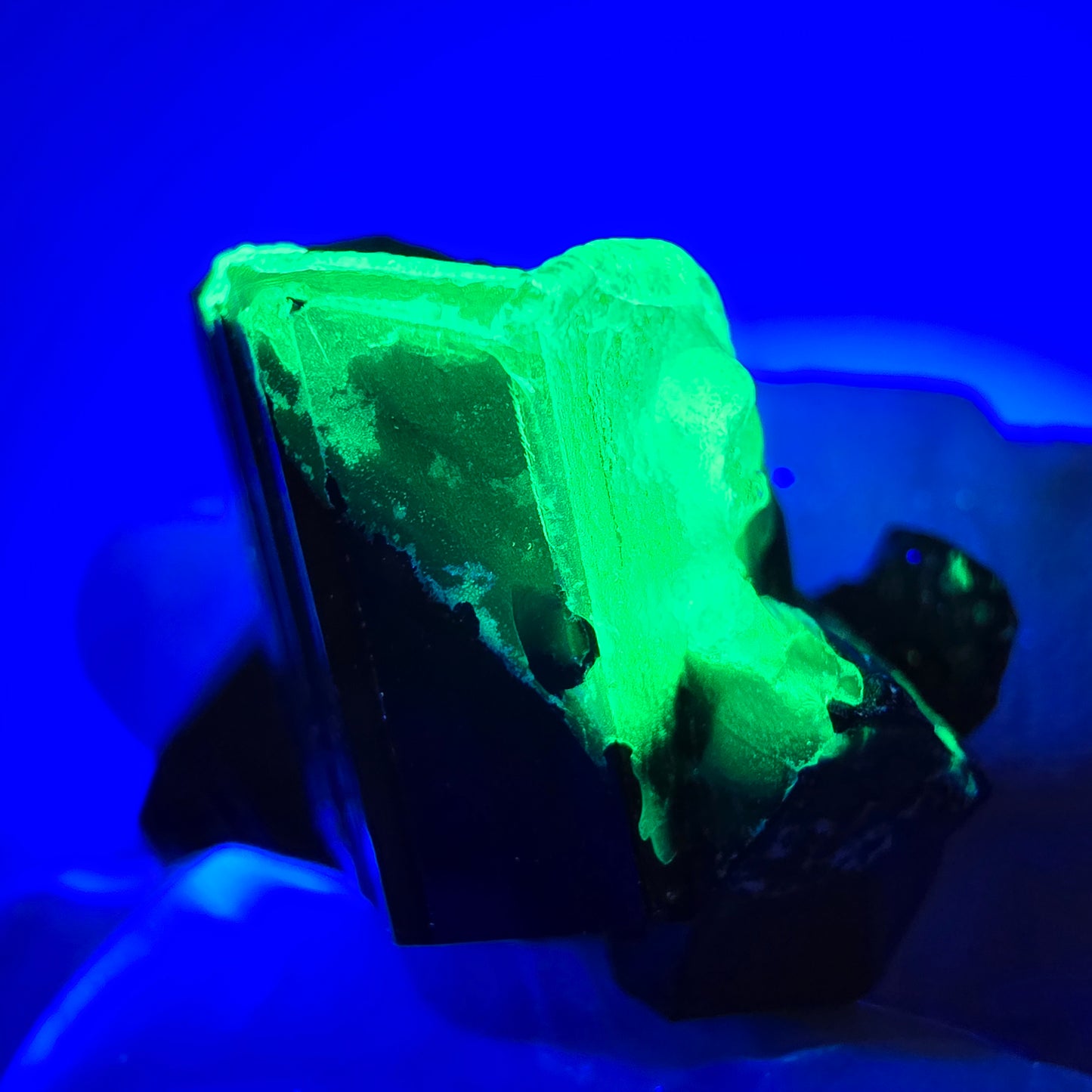 Sym. Tourmaline Schörl, quartz fumé, stade hyalite Erongo, Namibie 34*27*15mm