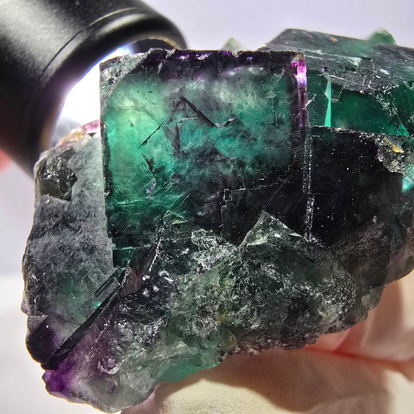 Spécimen de cube de fluorite fantôme, parqueté vert violet Okorusu, Namibie 54*40*27 mm